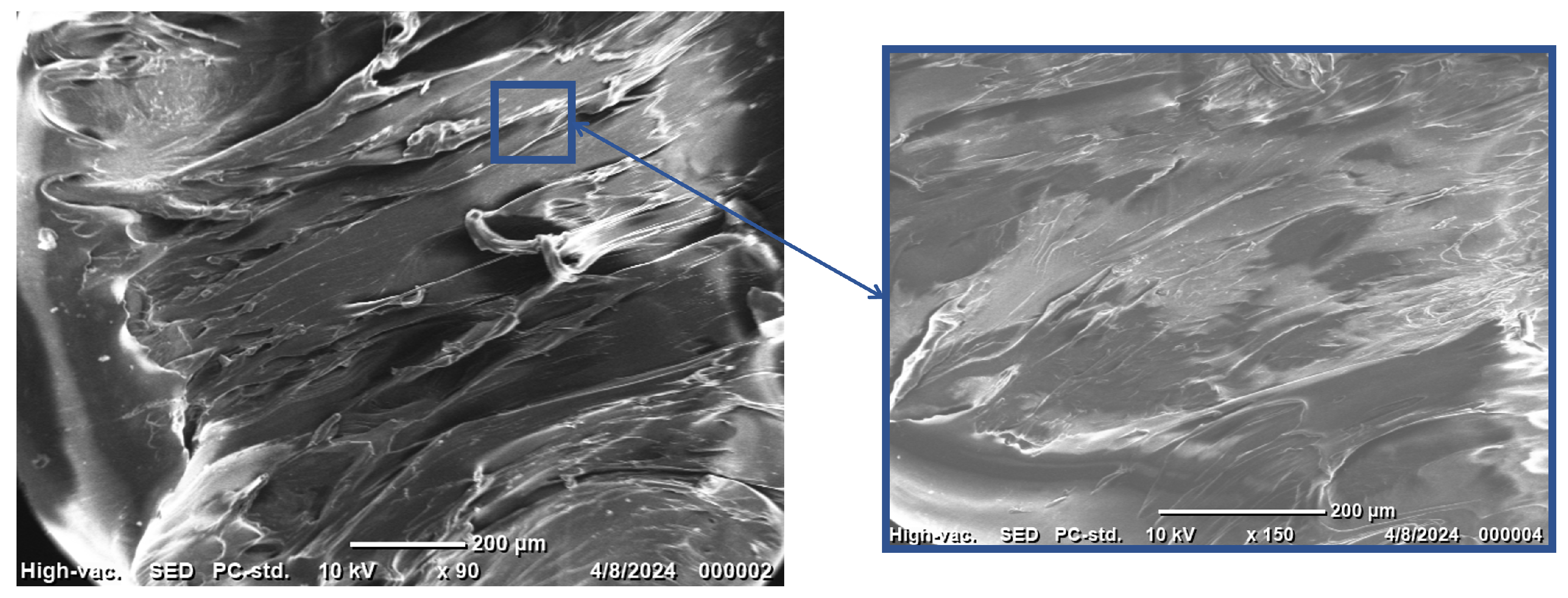 Nanomaterials 15 00159 g005