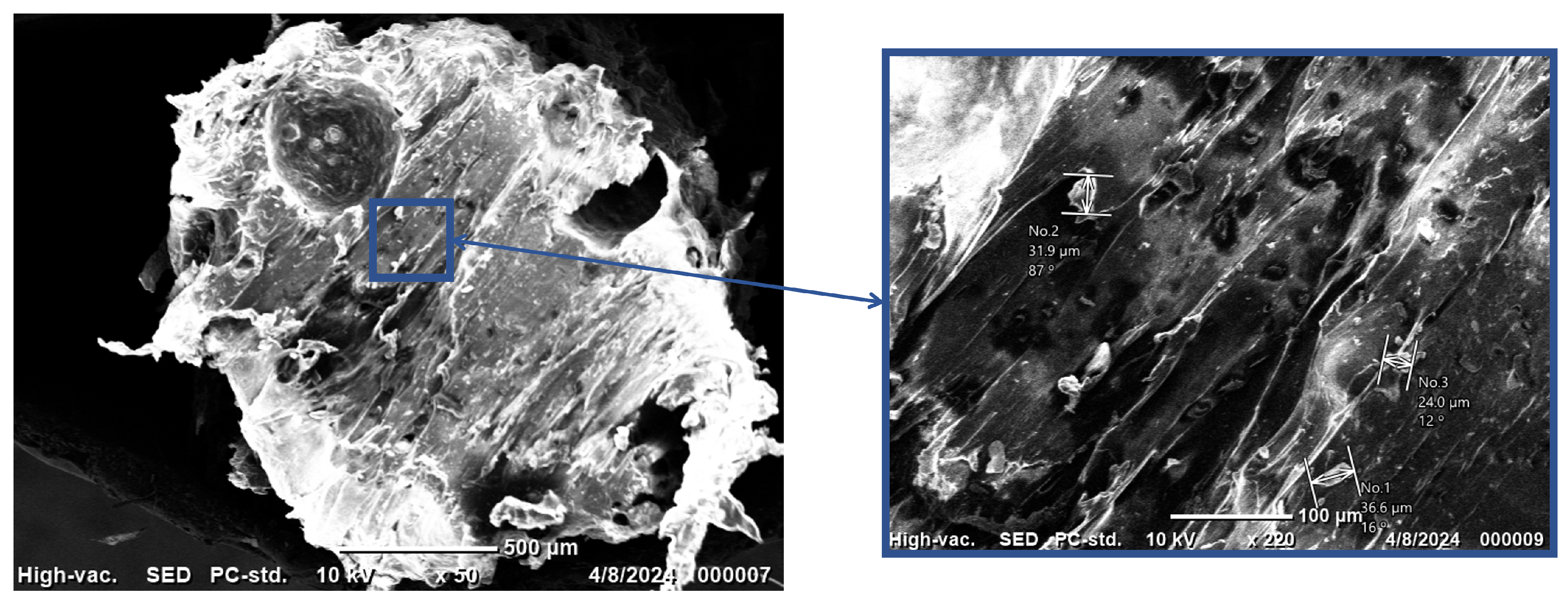 Nanomaterials 15 00159 g006