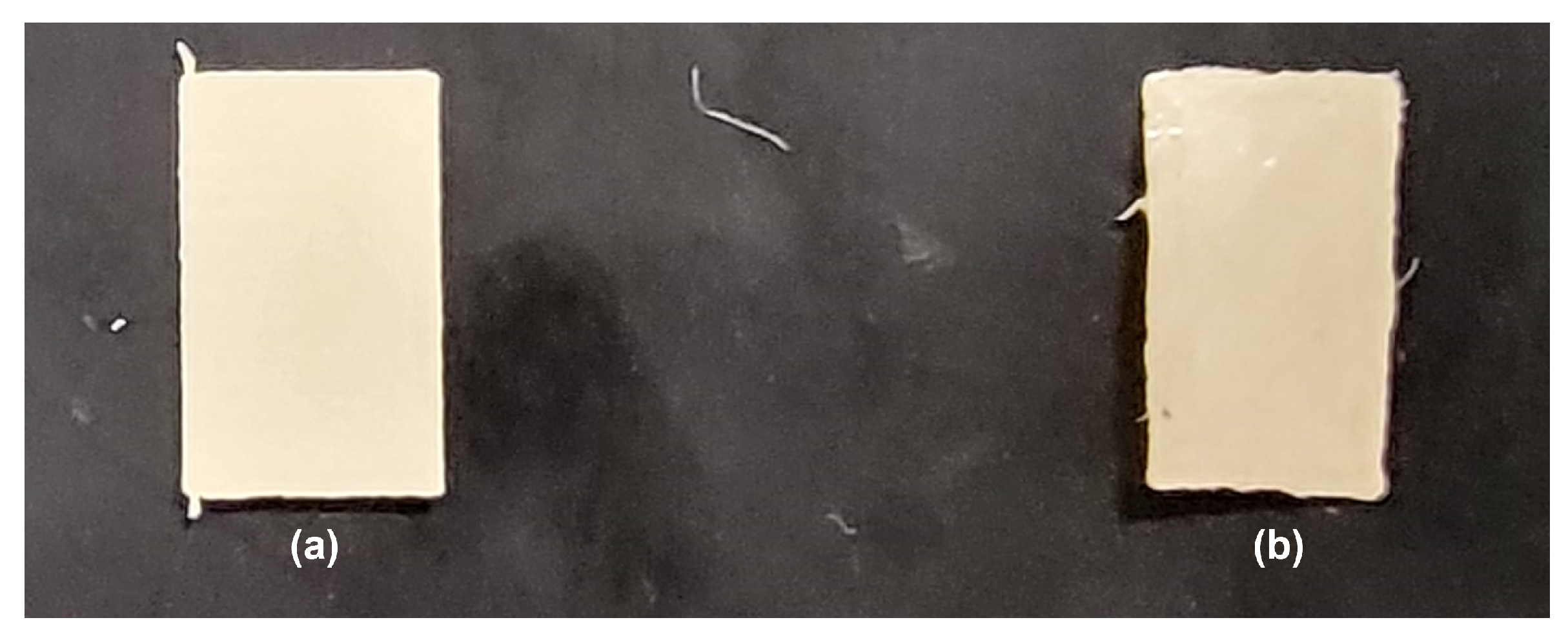 Nanomaterials 15 00159 g010