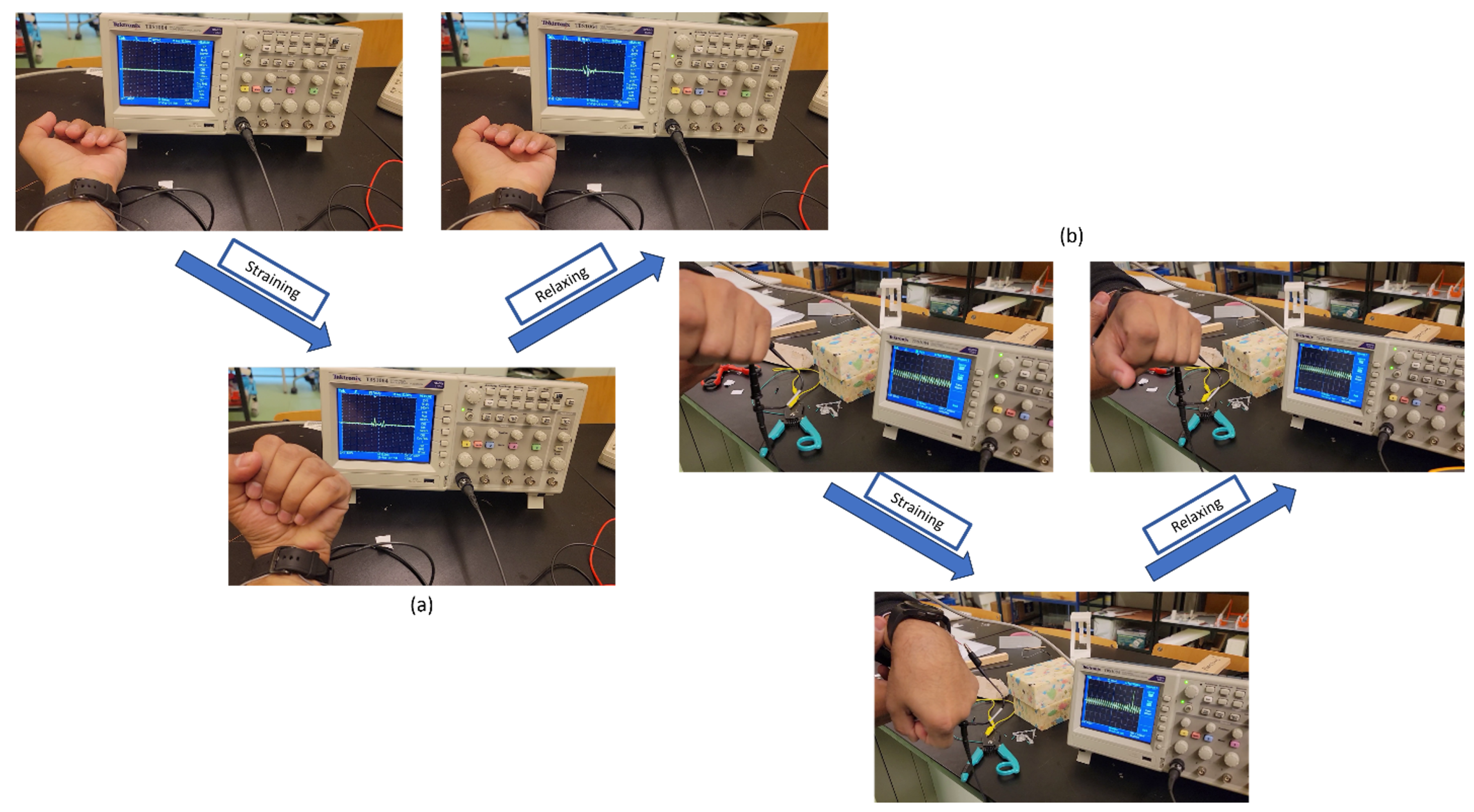 Nanomaterials 15 00159 g015
