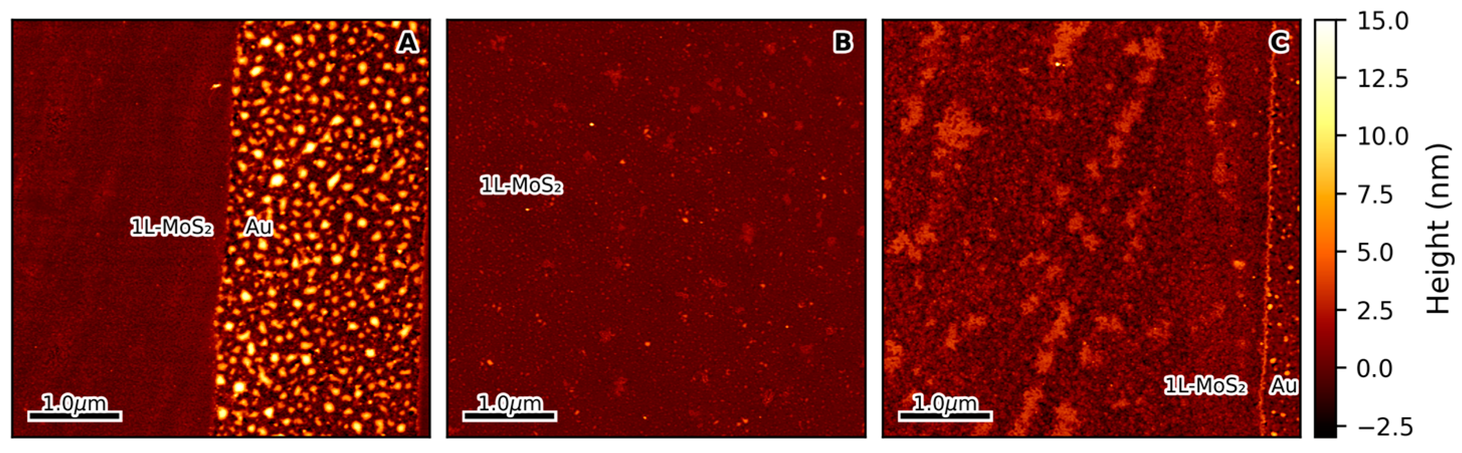 Nanomaterials 15 00160 g002