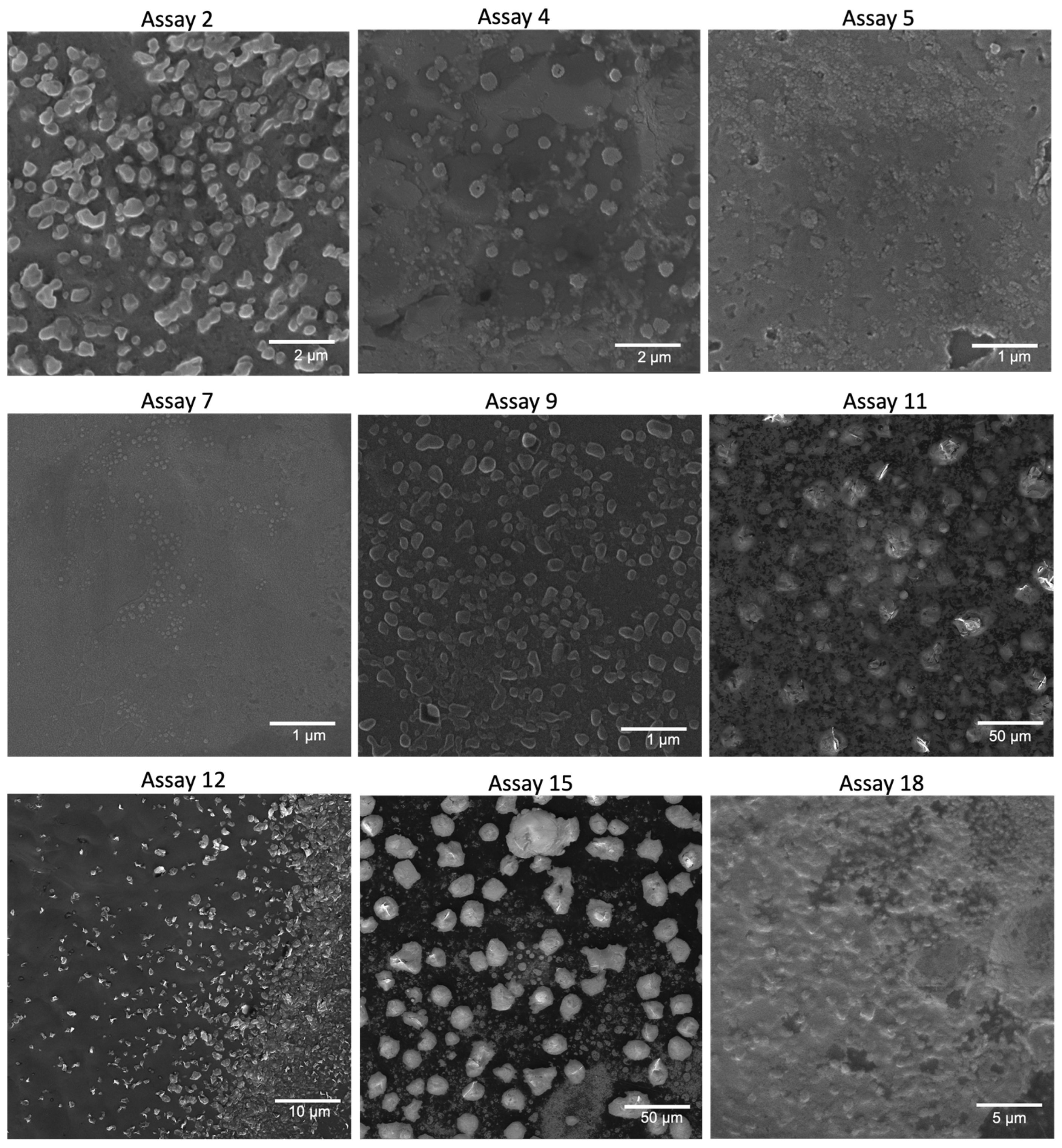 Nanomaterials 15 00161 g005