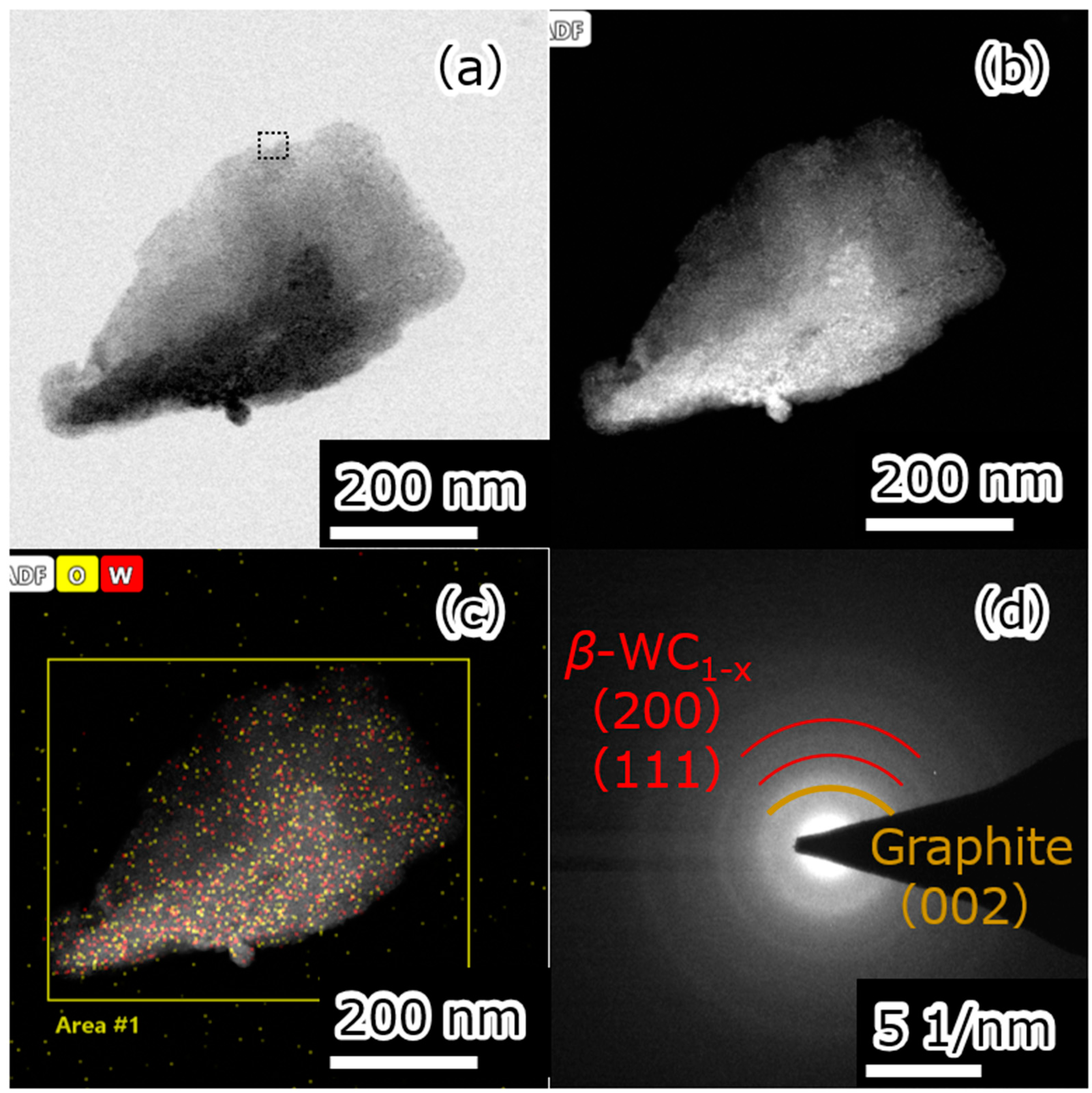 Nanomaterials 15 00170 g004