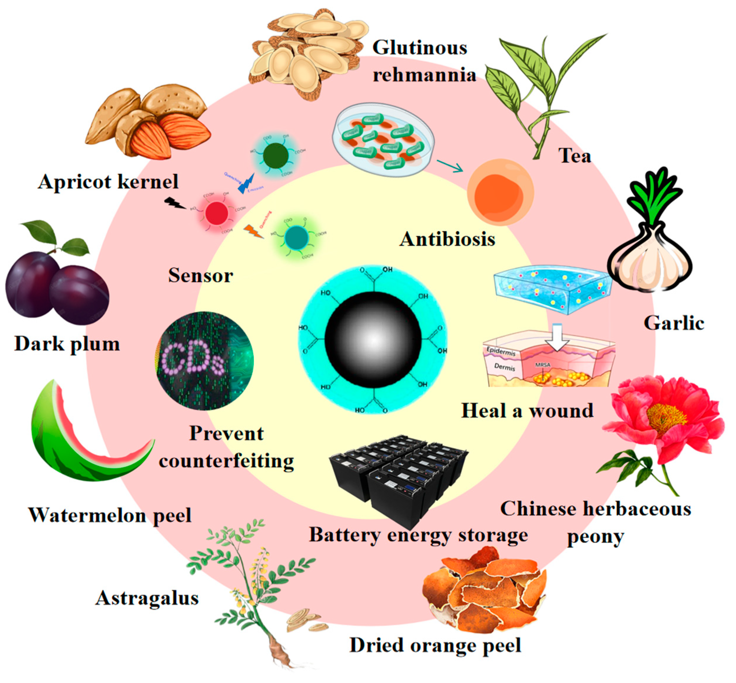 Nanomaterials 15 00171 g002