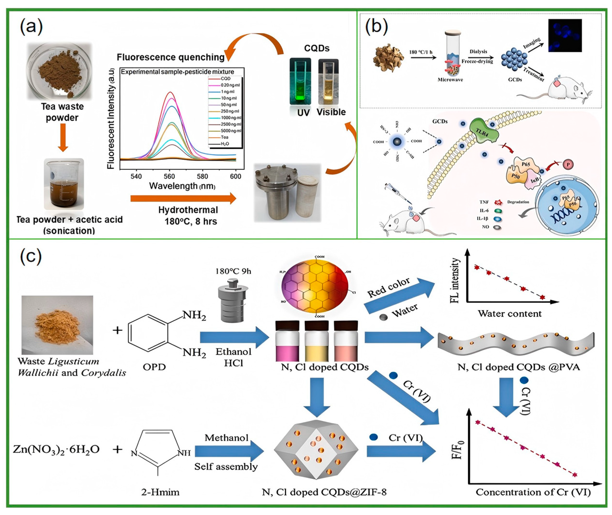 Nanomaterials 15 00171 g005