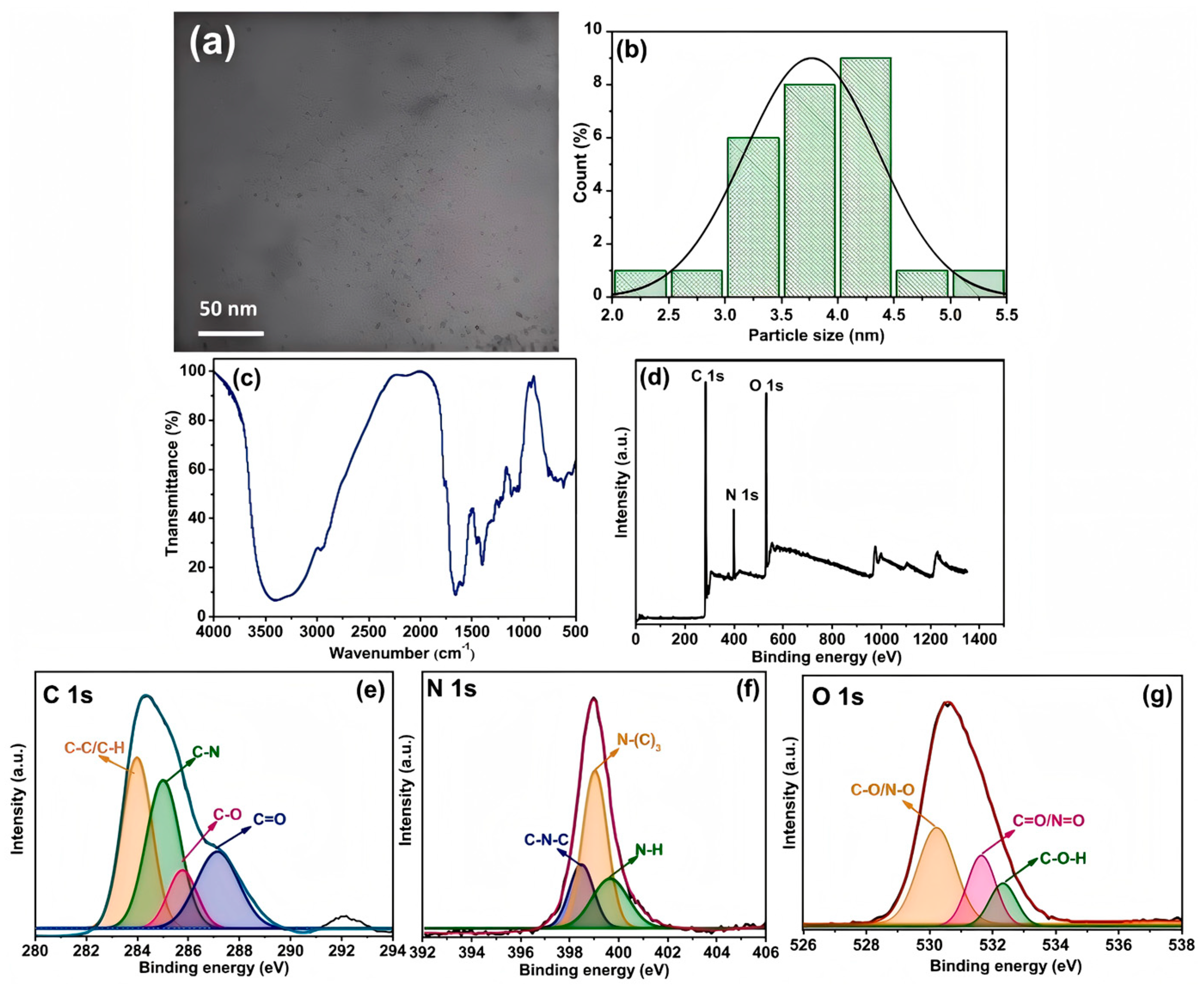 Nanomaterials 15 00171 g009
