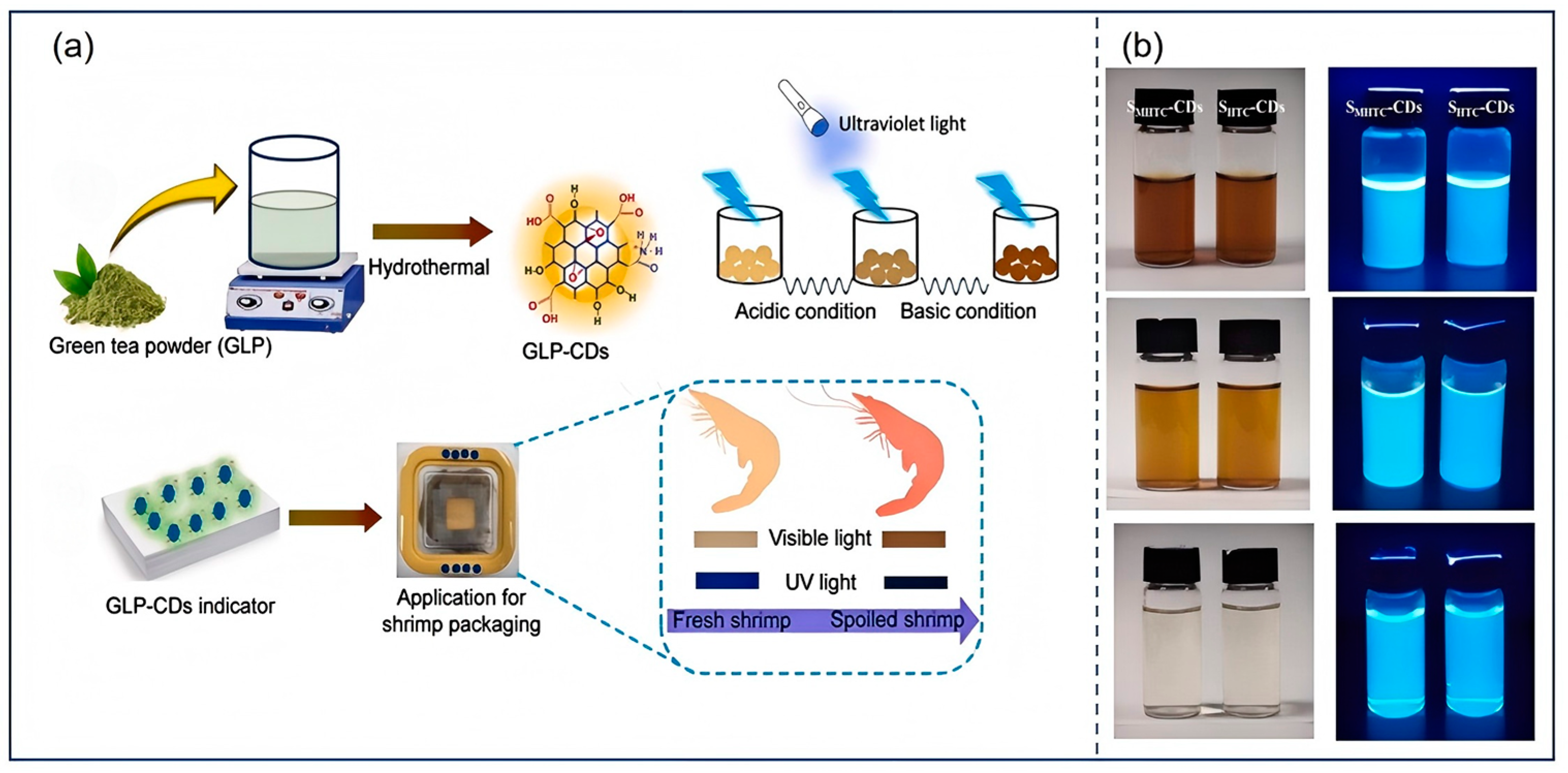 Nanomaterials 15 00171 g010