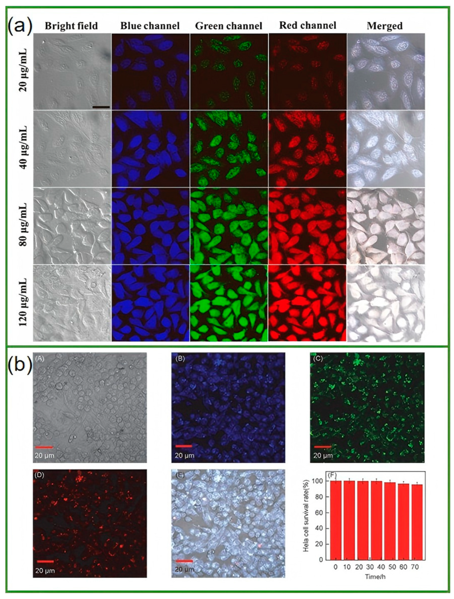 Nanomaterials 15 00171 g011