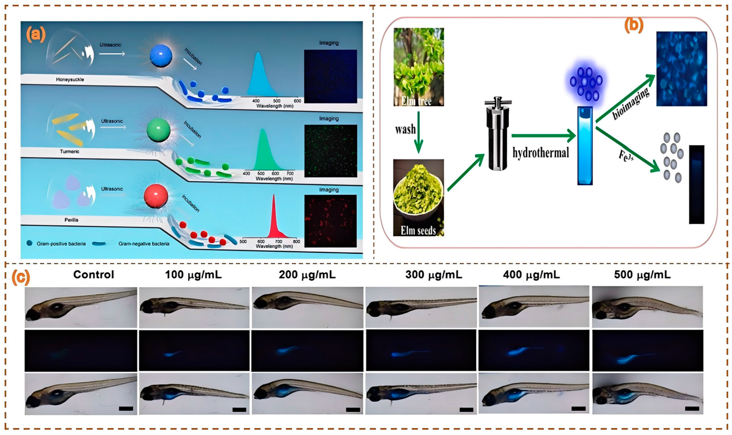 Nanomaterials 15 00171 g012