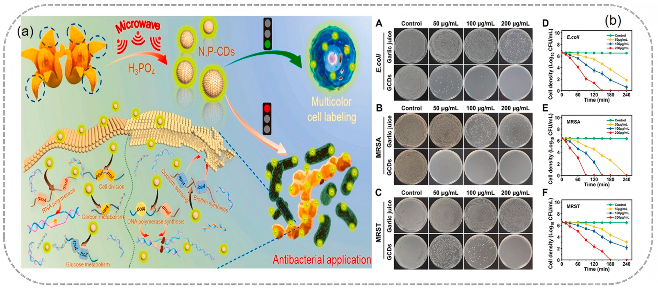 Nanomaterials 15 00171 g014
