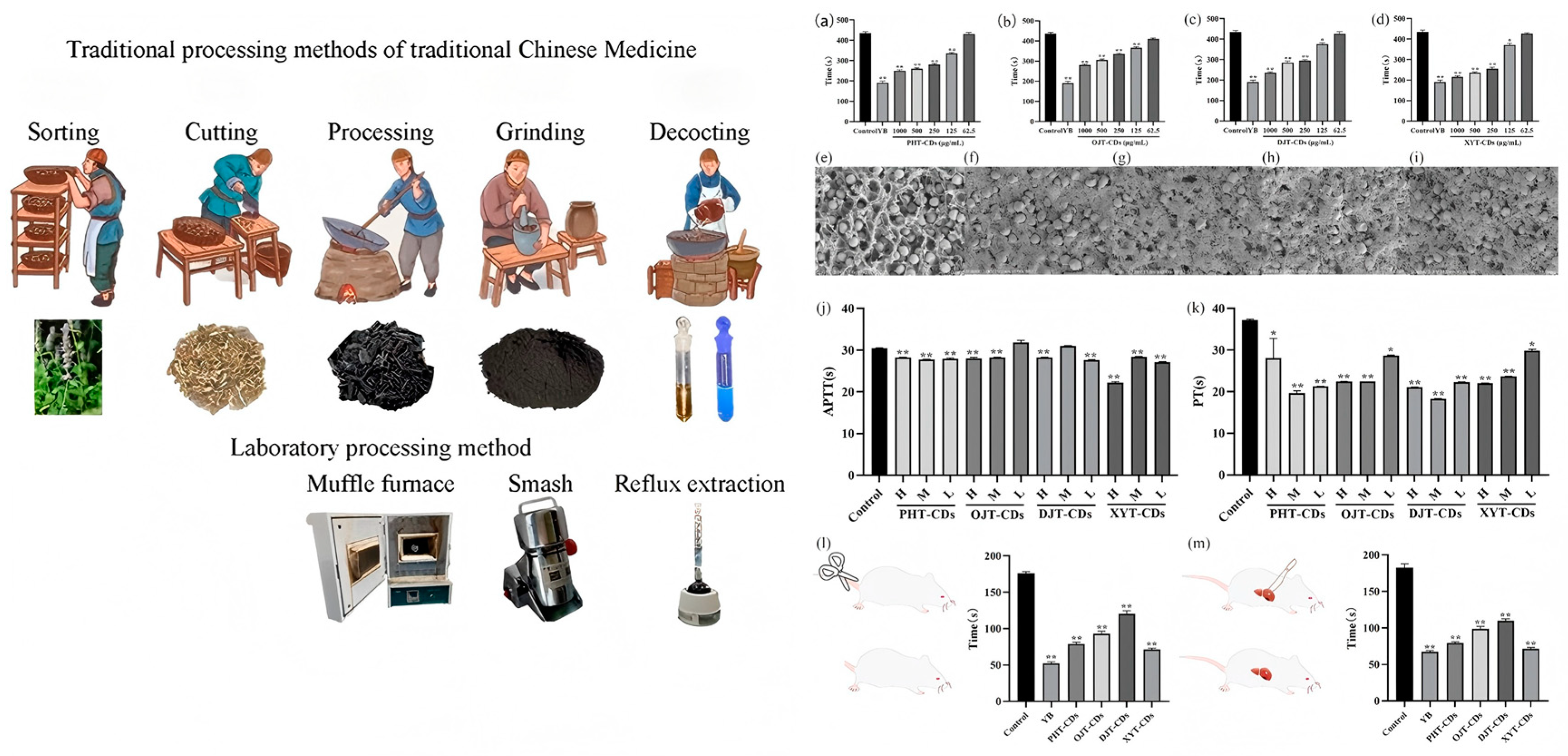 Nanomaterials 15 00171 g015