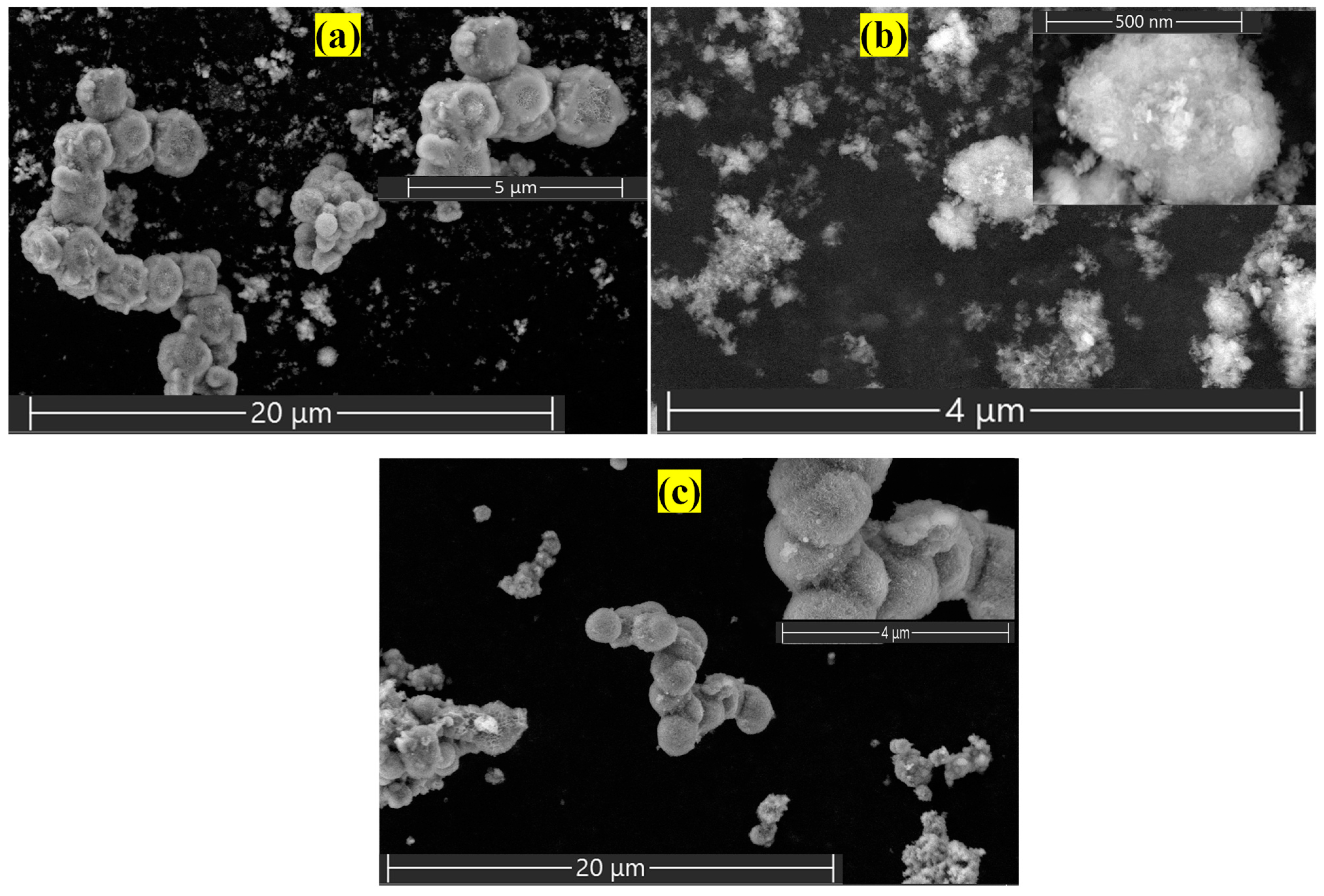 Nanomaterials 15 00177 g004