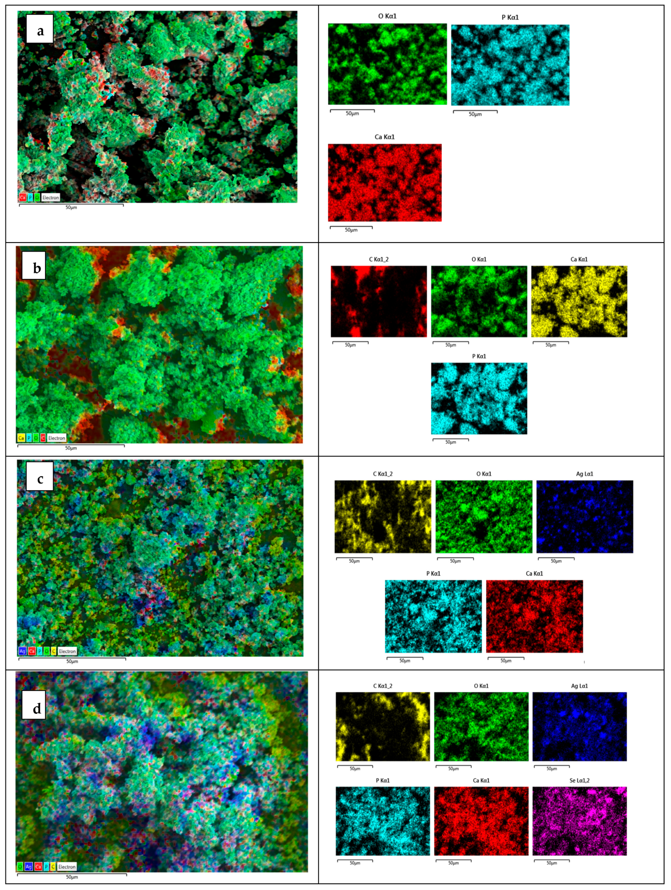 Nanomaterials 15 00179 g003