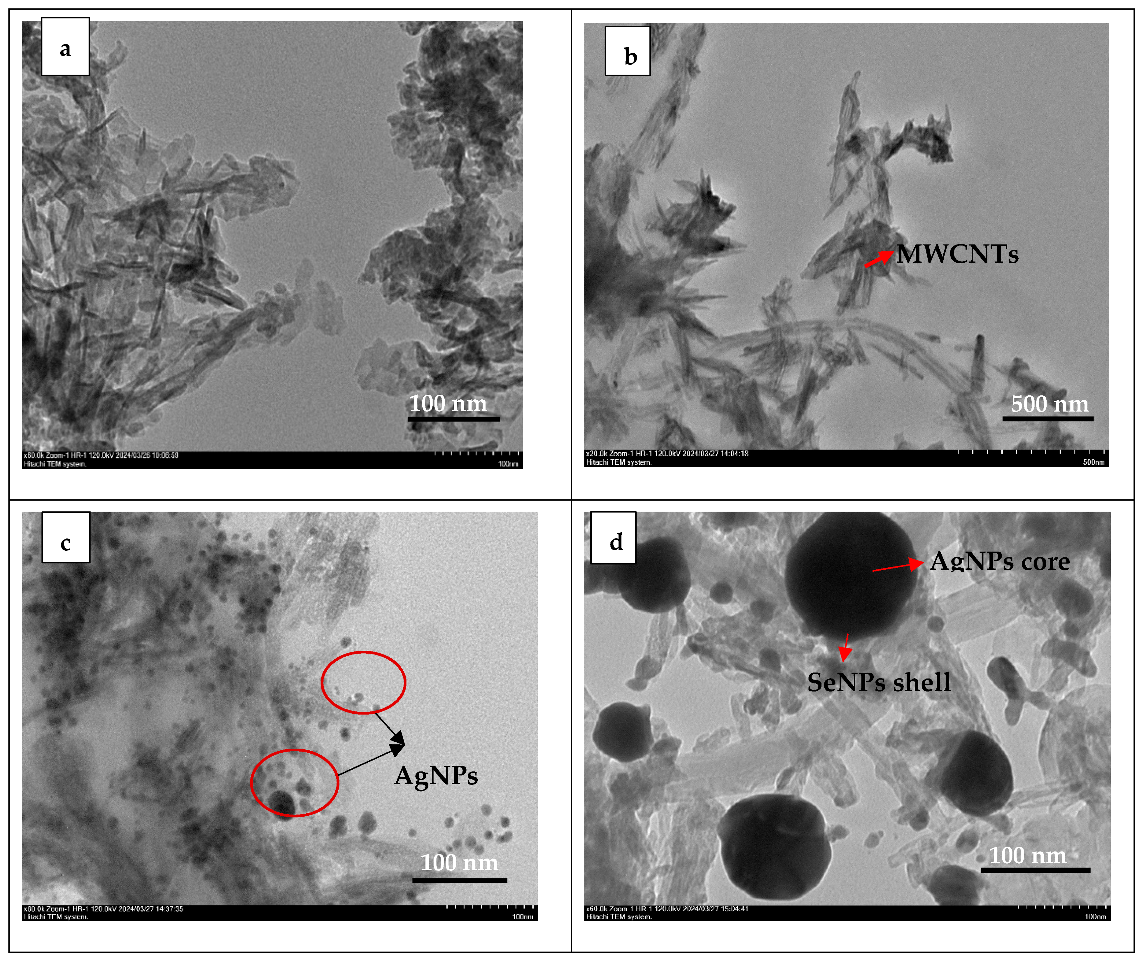 Nanomaterials 15 00179 g004