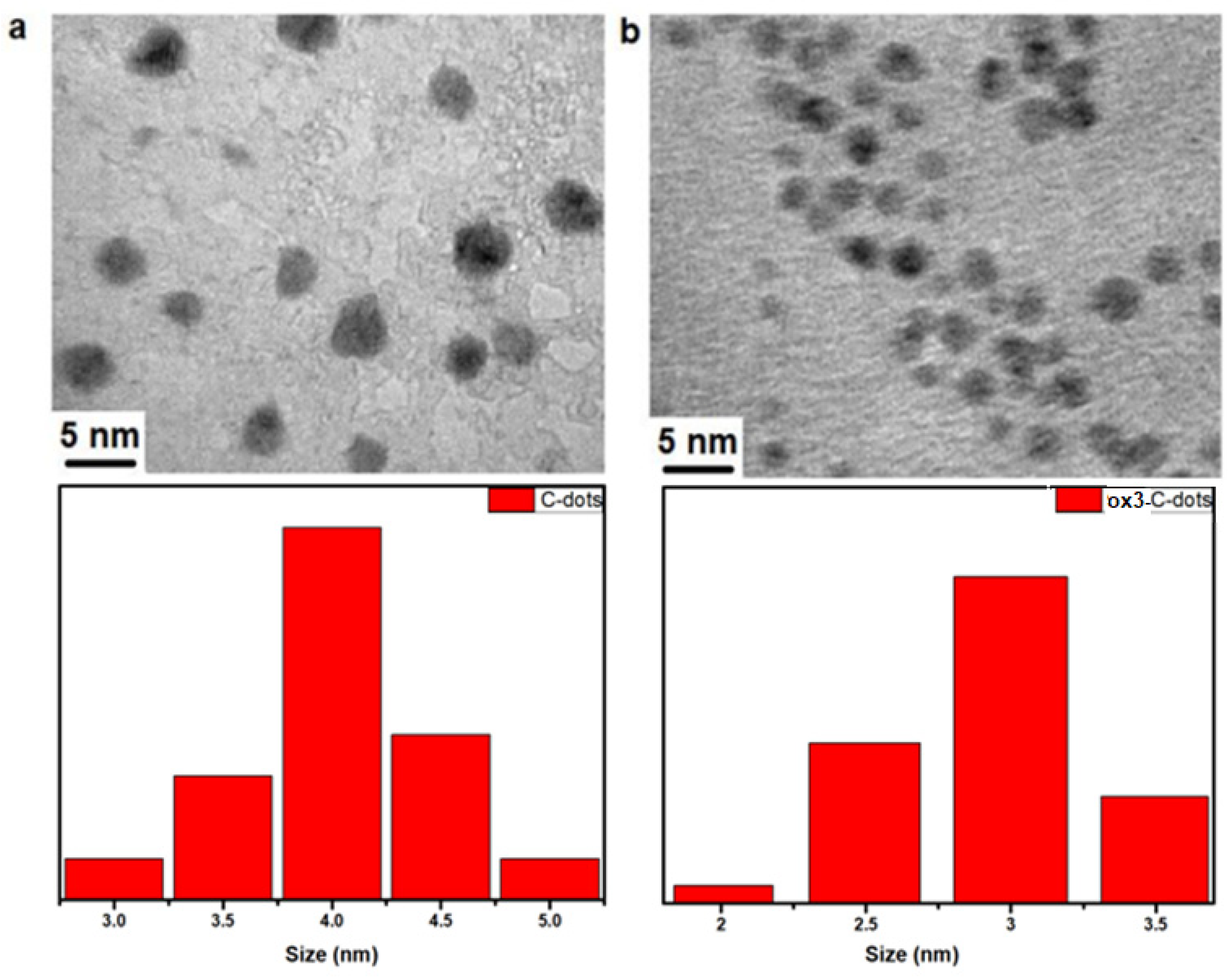 Nanomaterials 15 00184 g001