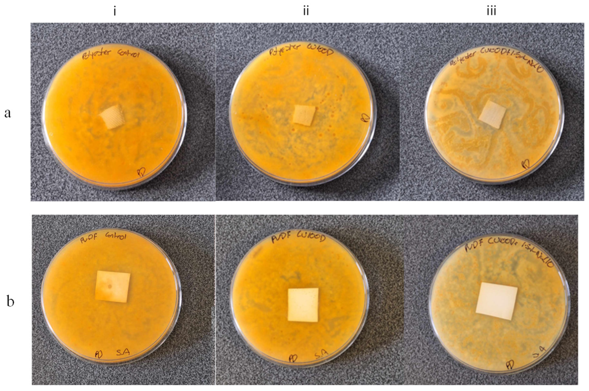 Nanomaterials 15 00184 g009
