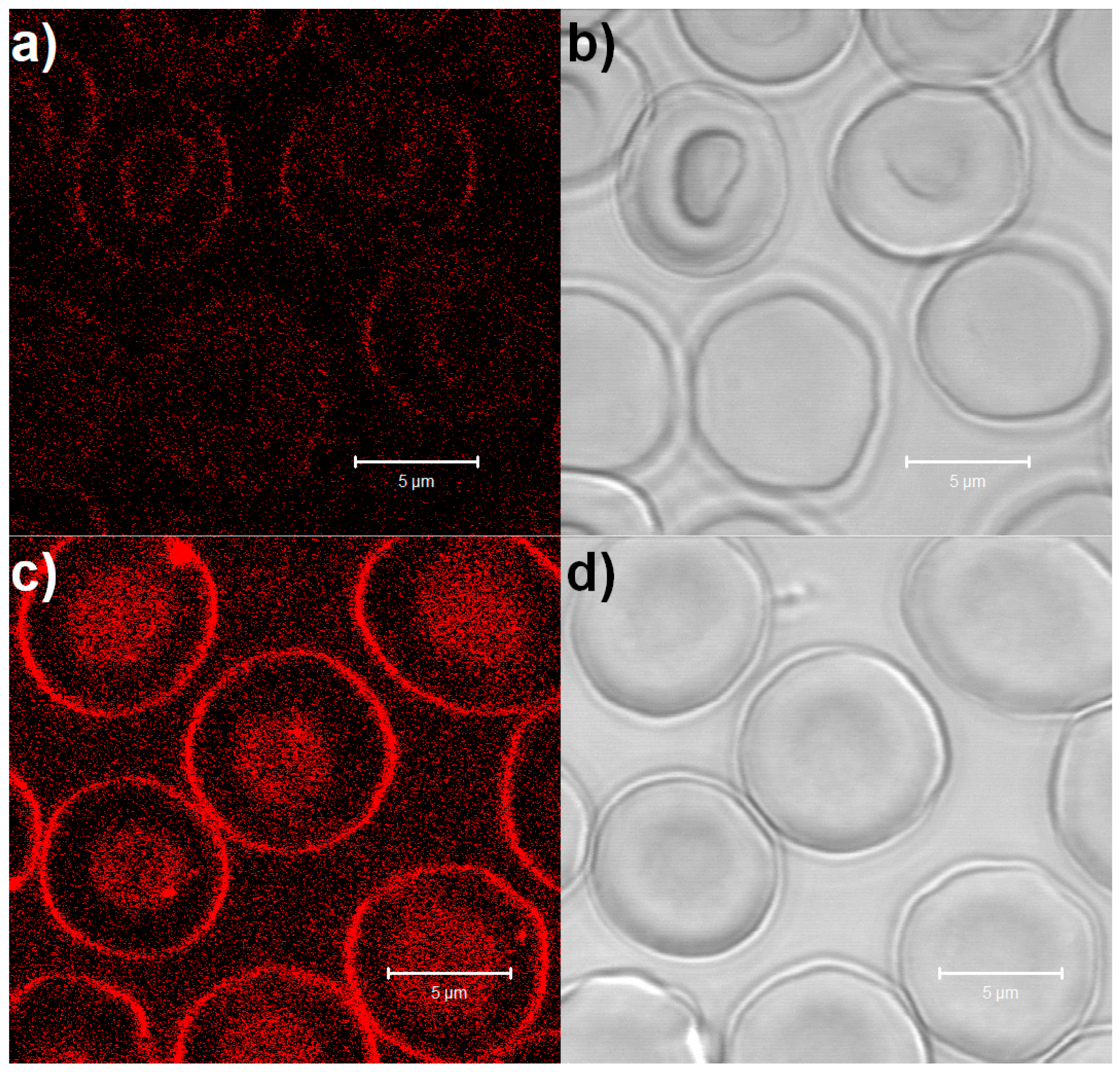 Nanomaterials 15 00187 g003