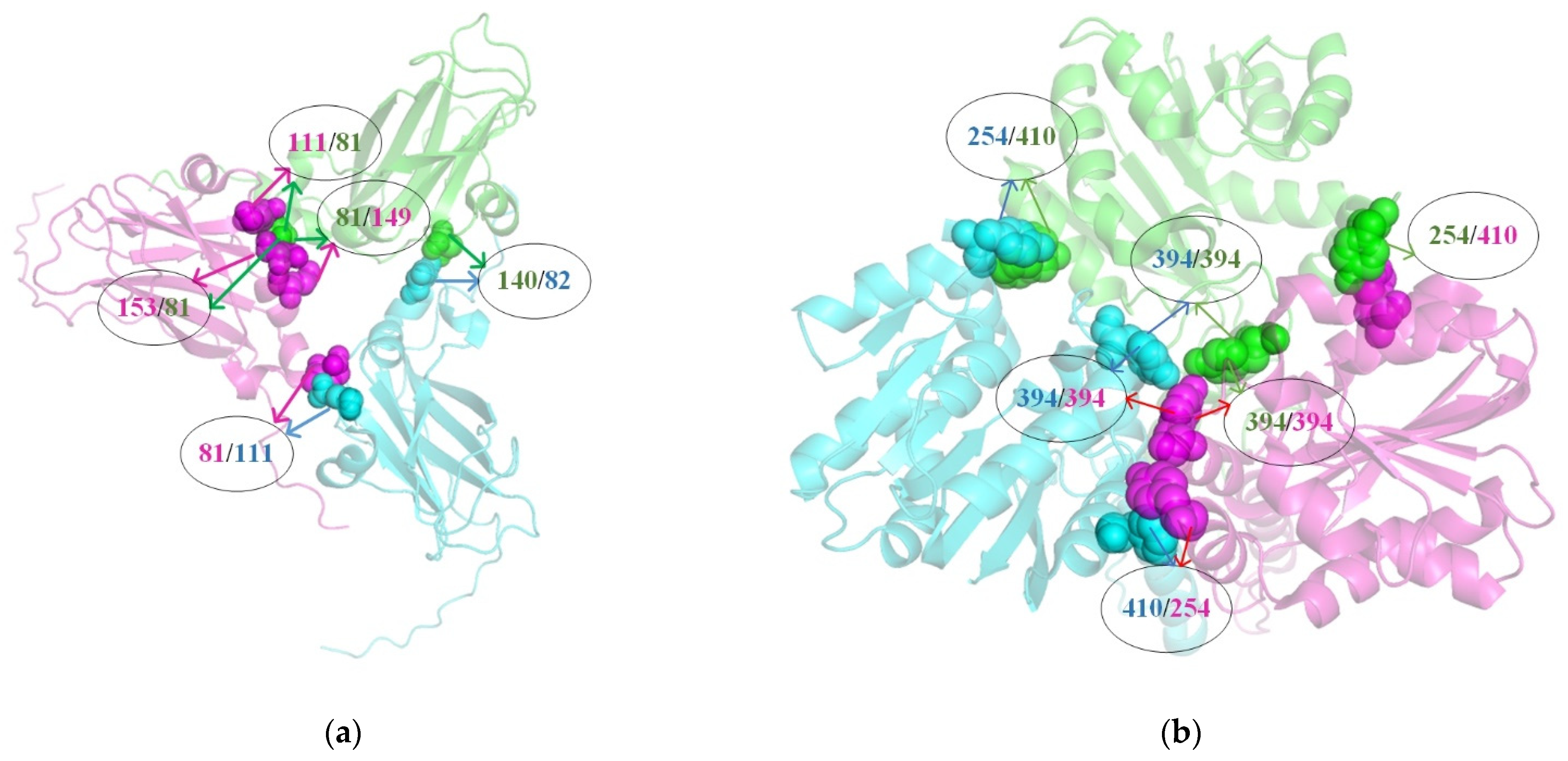 Nanomaterials 15 00188 g007