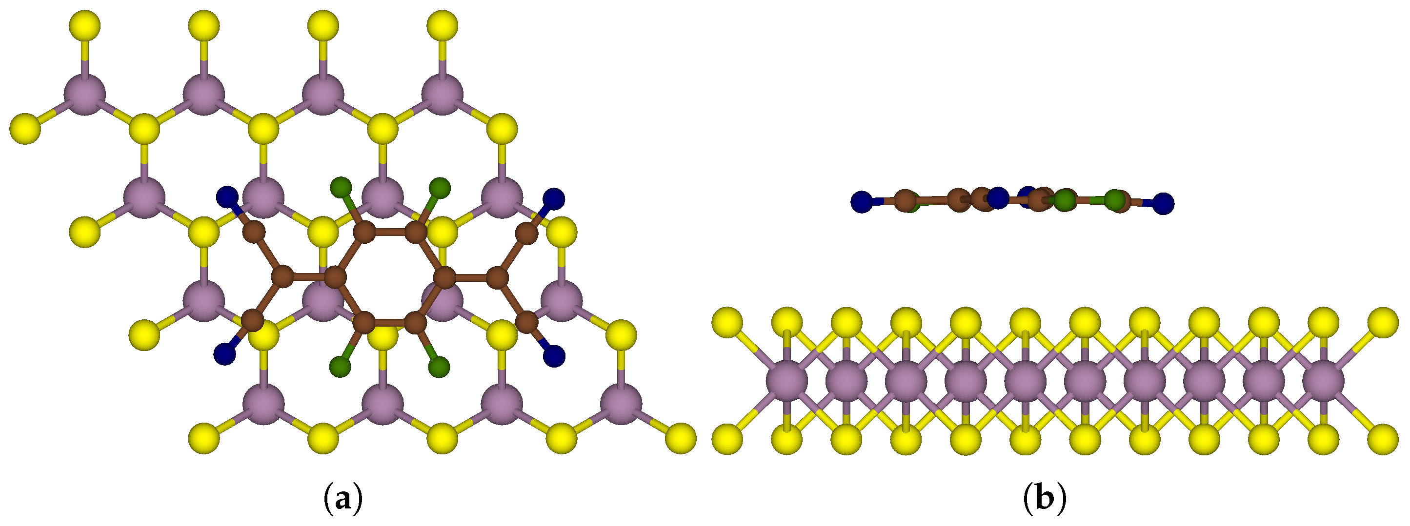 Nanomaterials 15 00193 g001