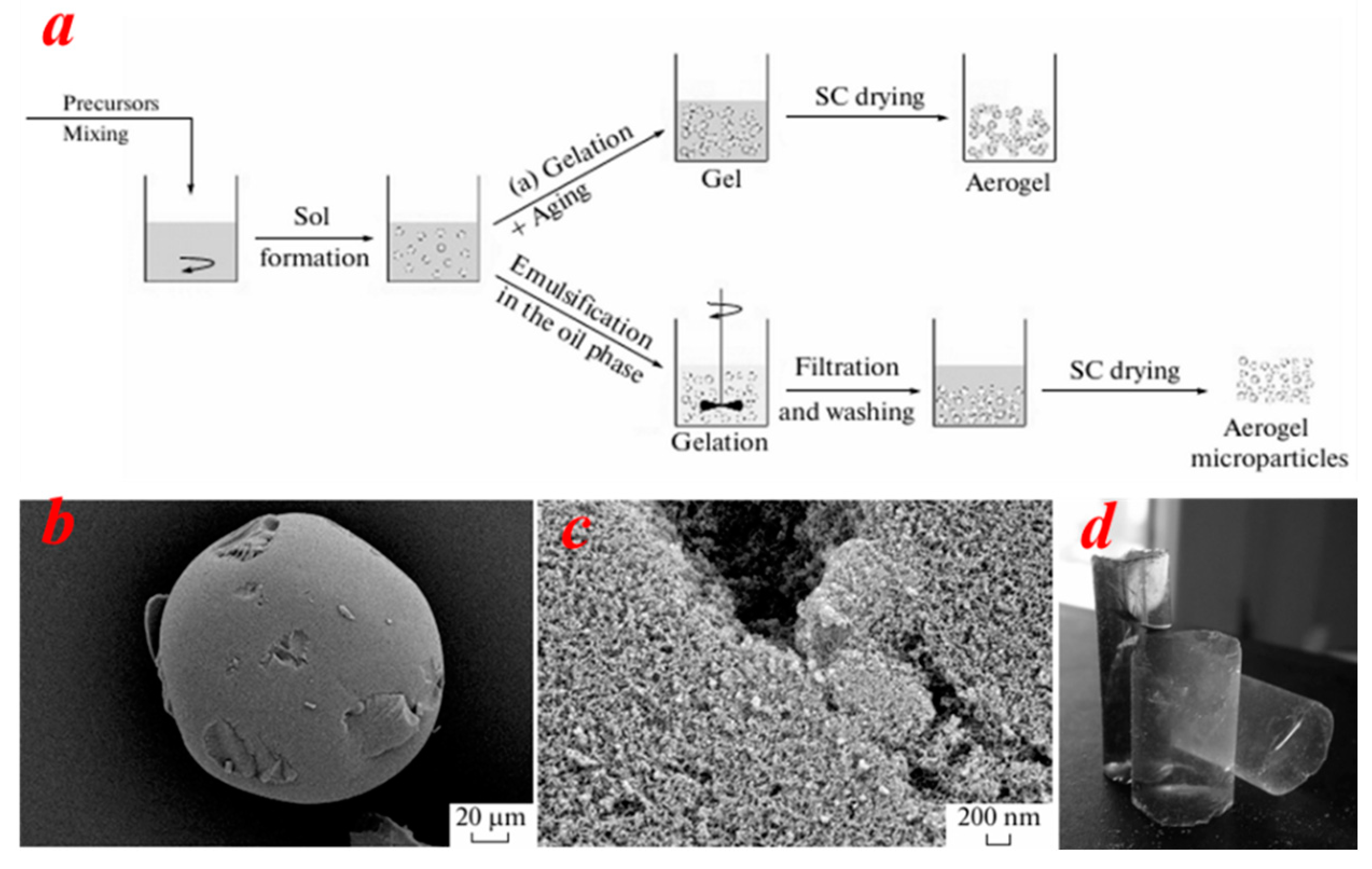 Nanomaterials 15 00194 g003