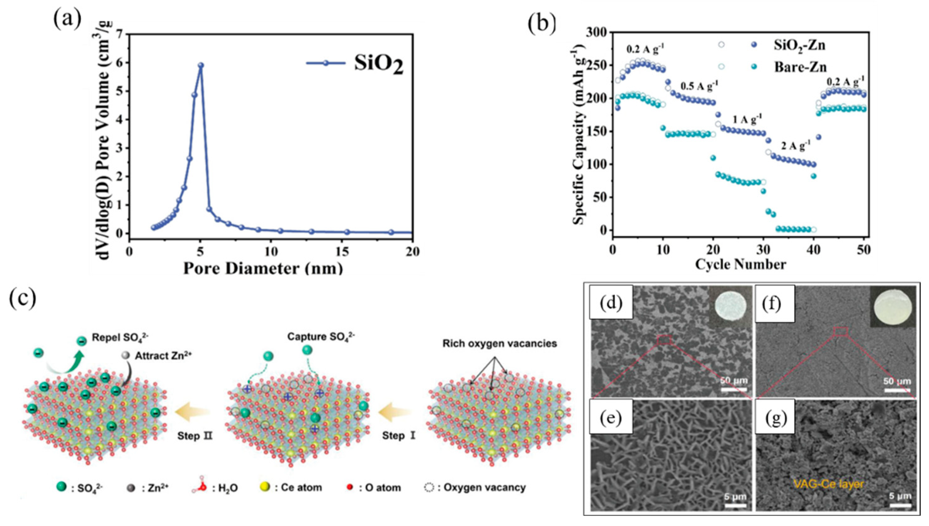 Nanomaterials 15 00194 g006