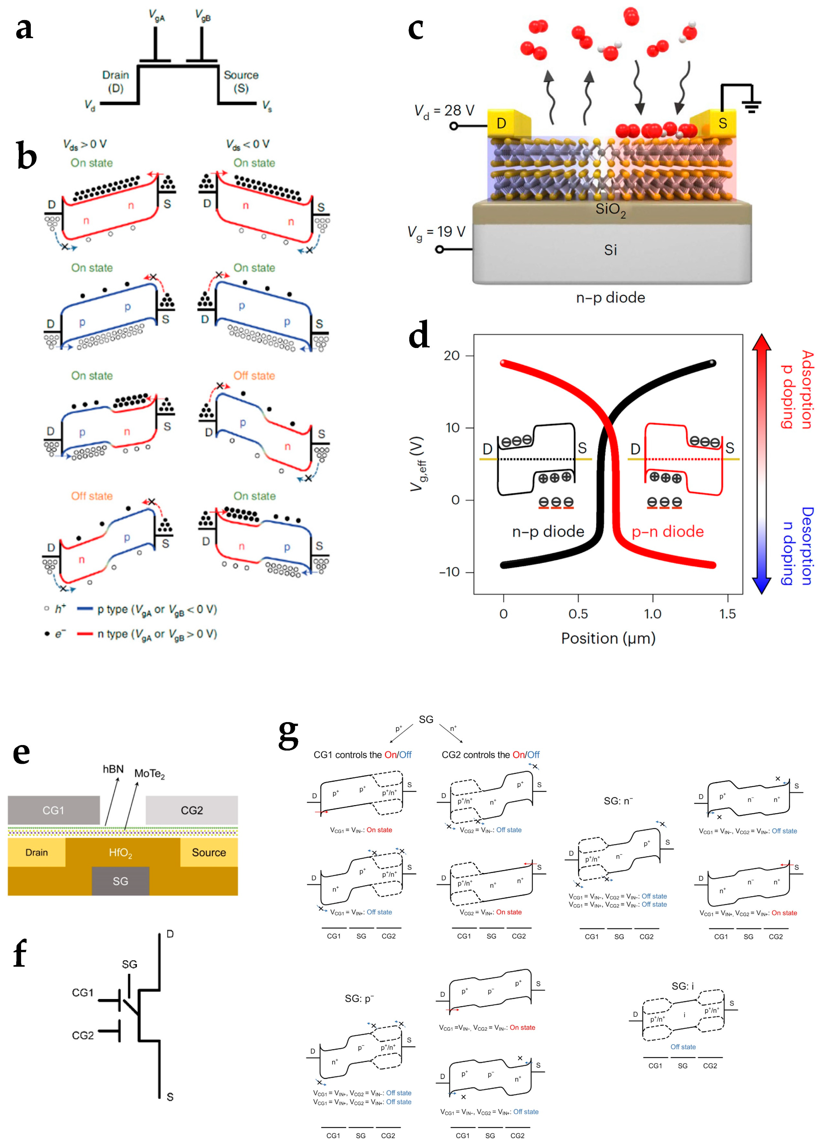 Nanomaterials 15 00201 g004
