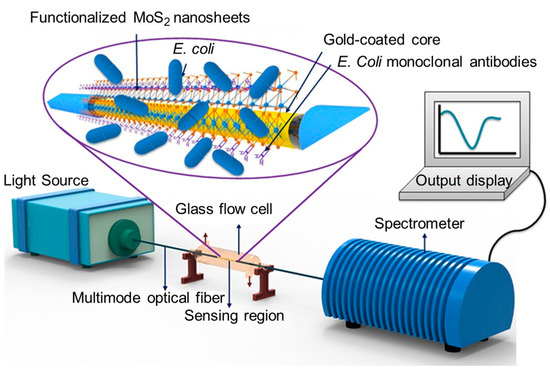 Functionalized Optical Microcavities for Sensing Applications