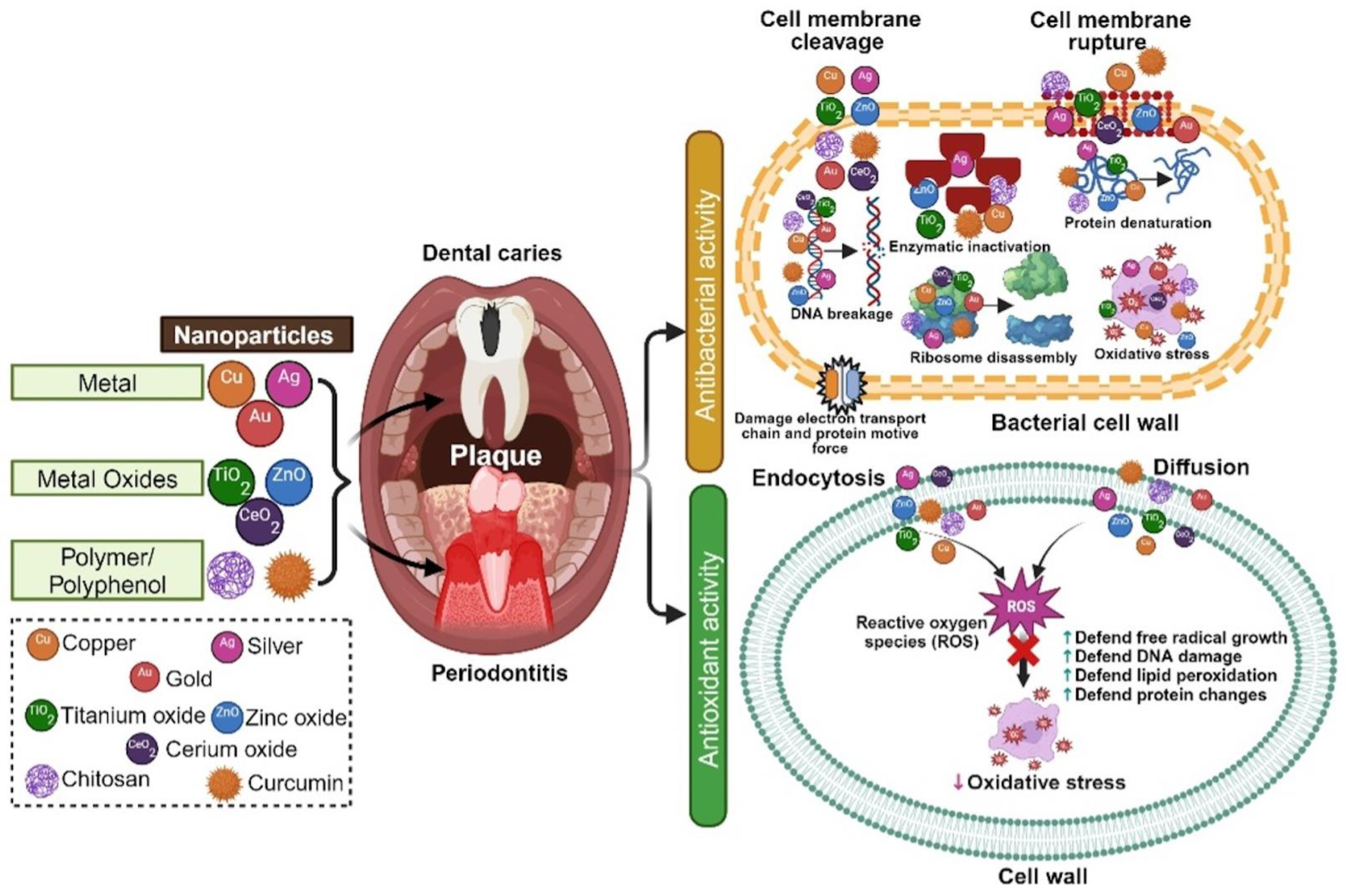Nanomaterials 15 00209 g002