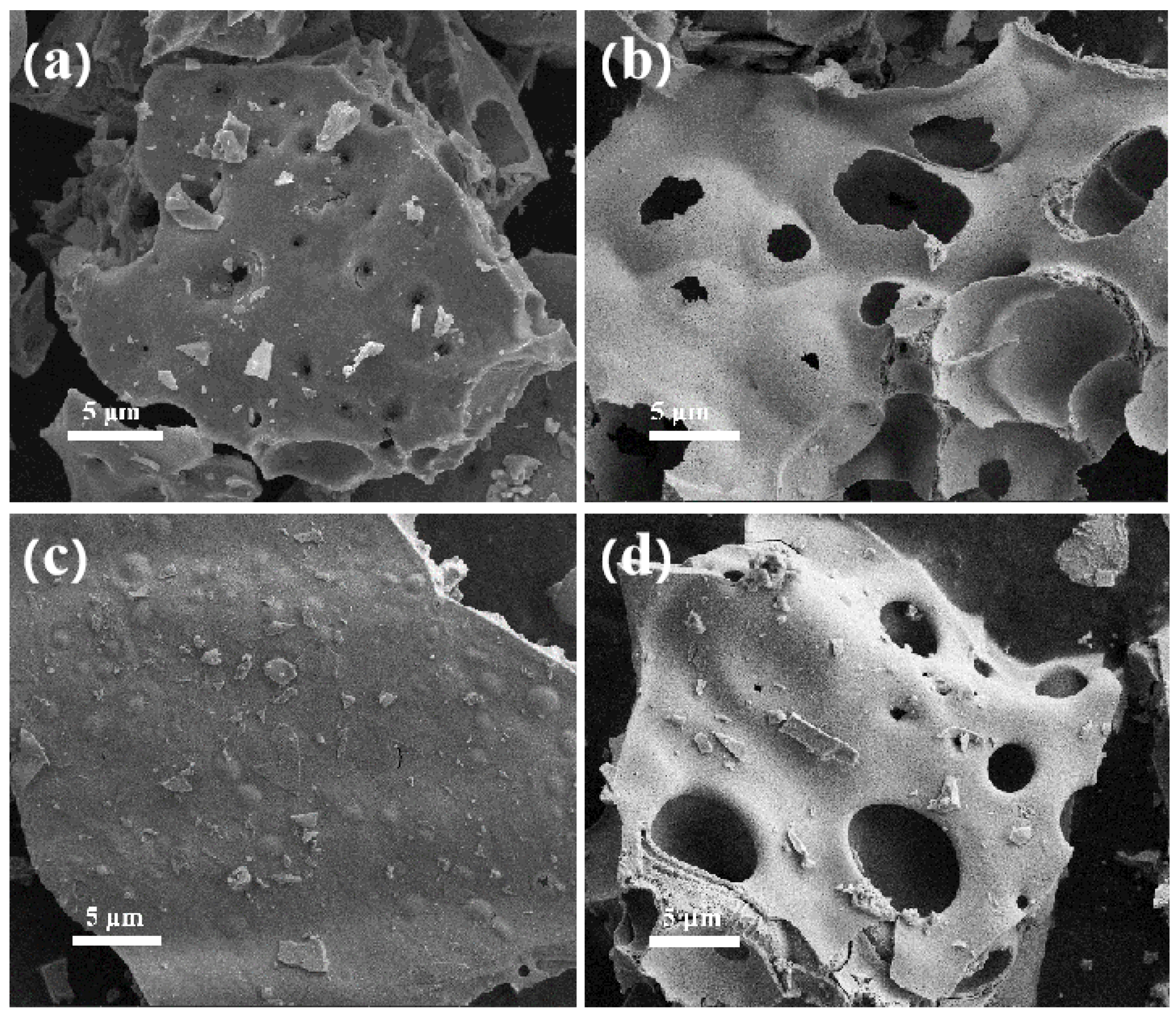 Nanomaterials 15 00210 g002
