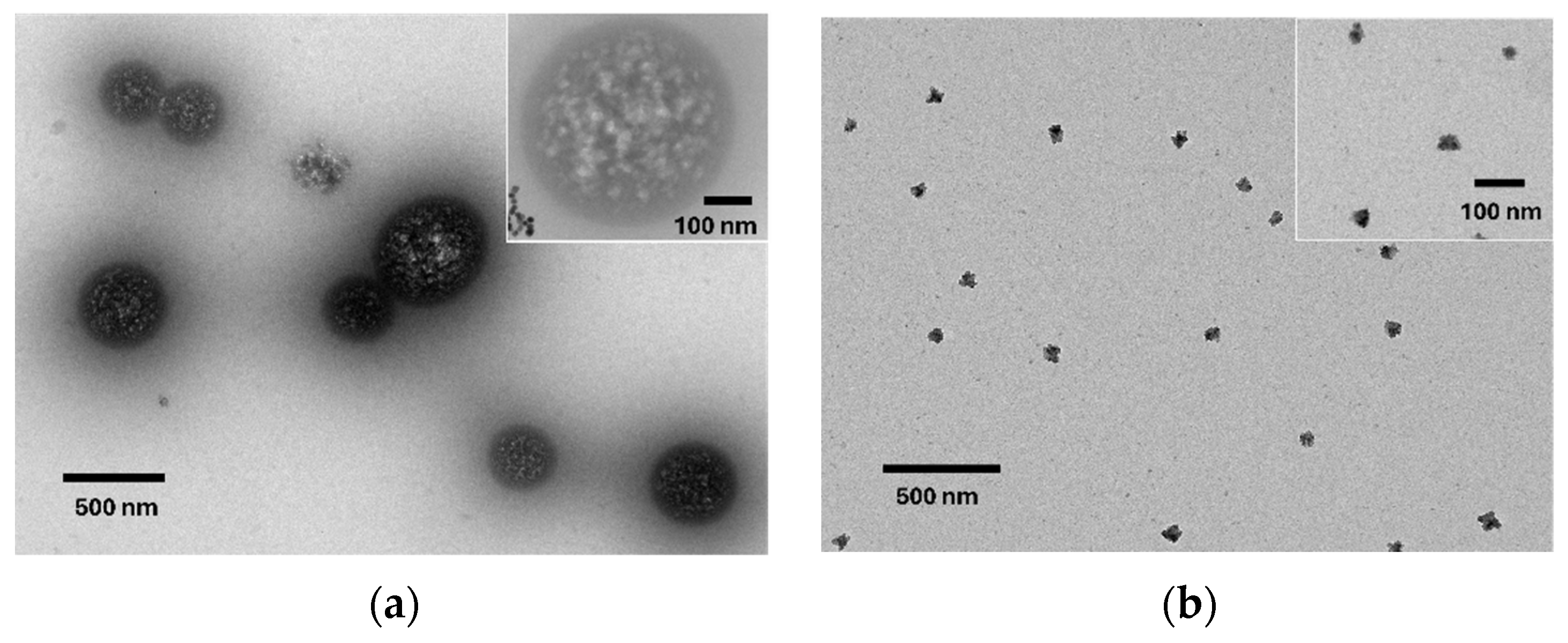 Nanomaterials 15 00211 g002