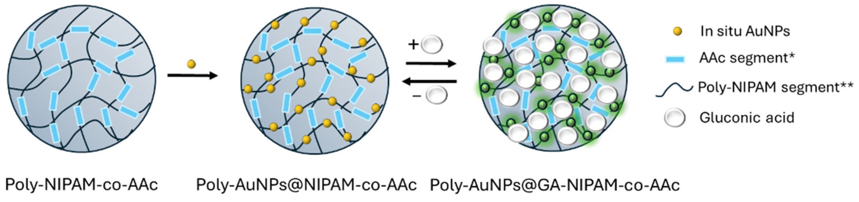 Nanomaterials 15 00211 sch001