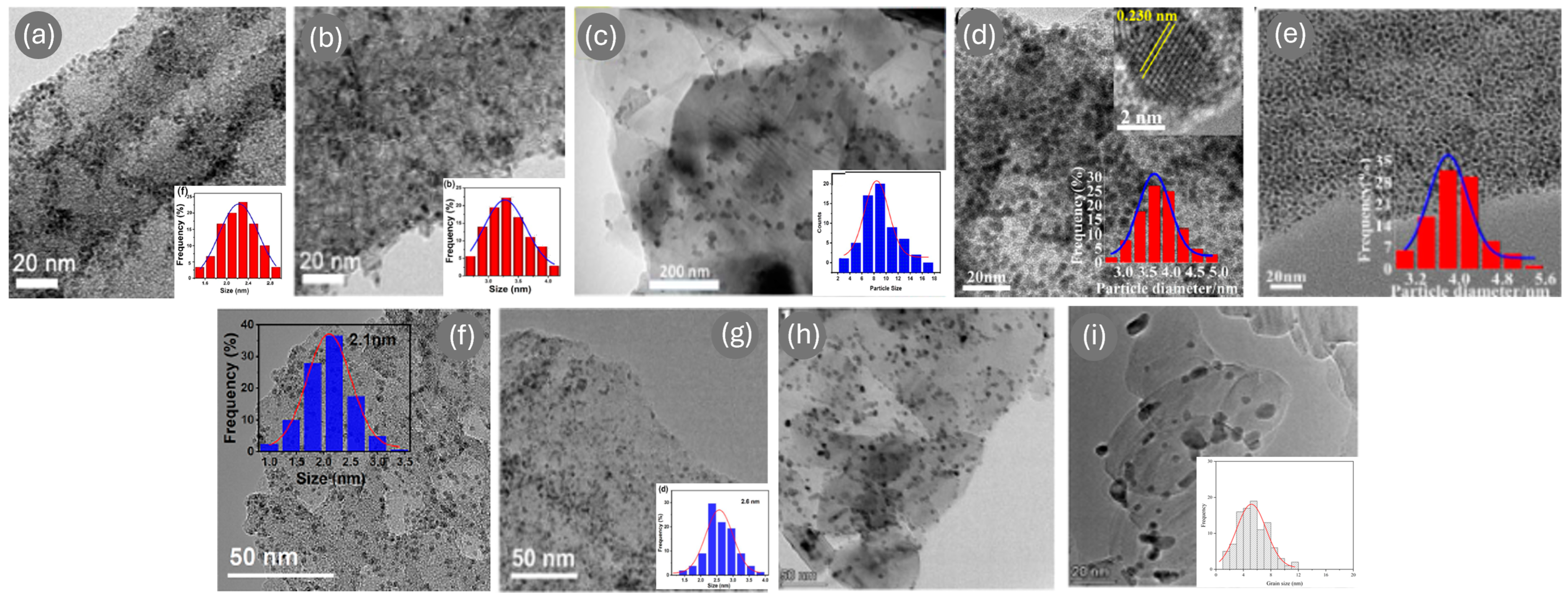 Nanomaterials 15 00212 g005