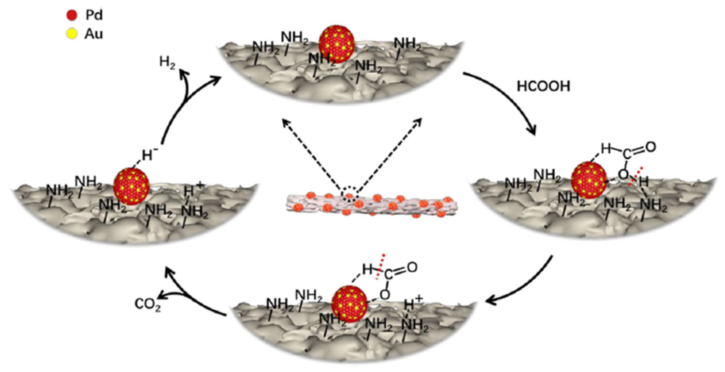 Nanomaterials 15 00212 sch002