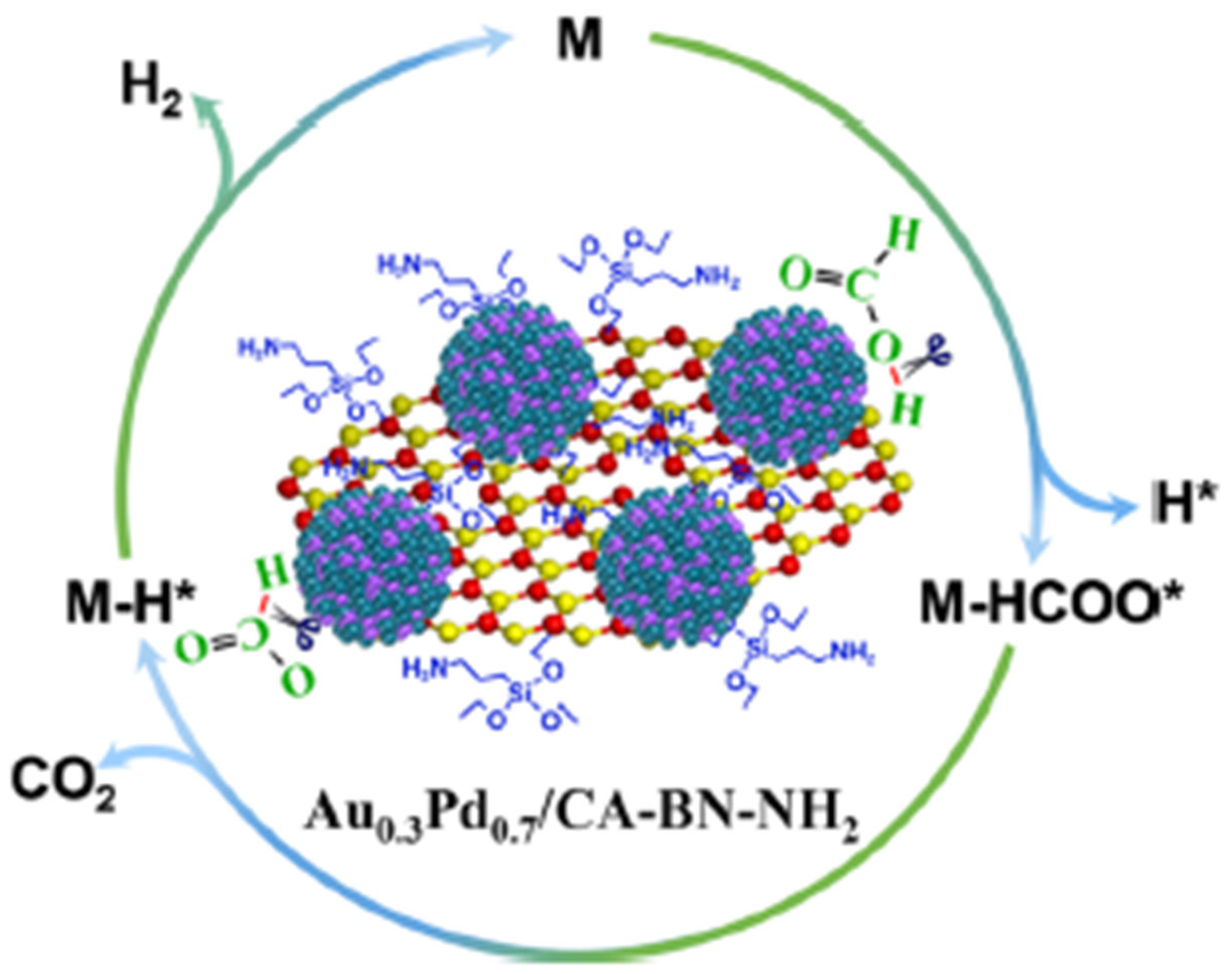 Nanomaterials 15 00212 sch004