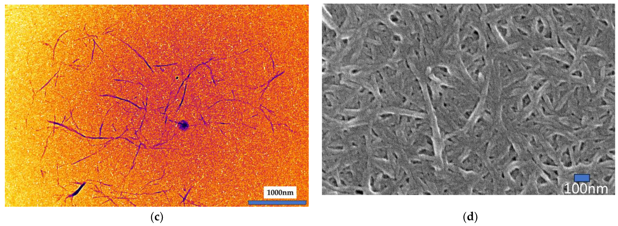 Nanomaterials 15 00214 g002b