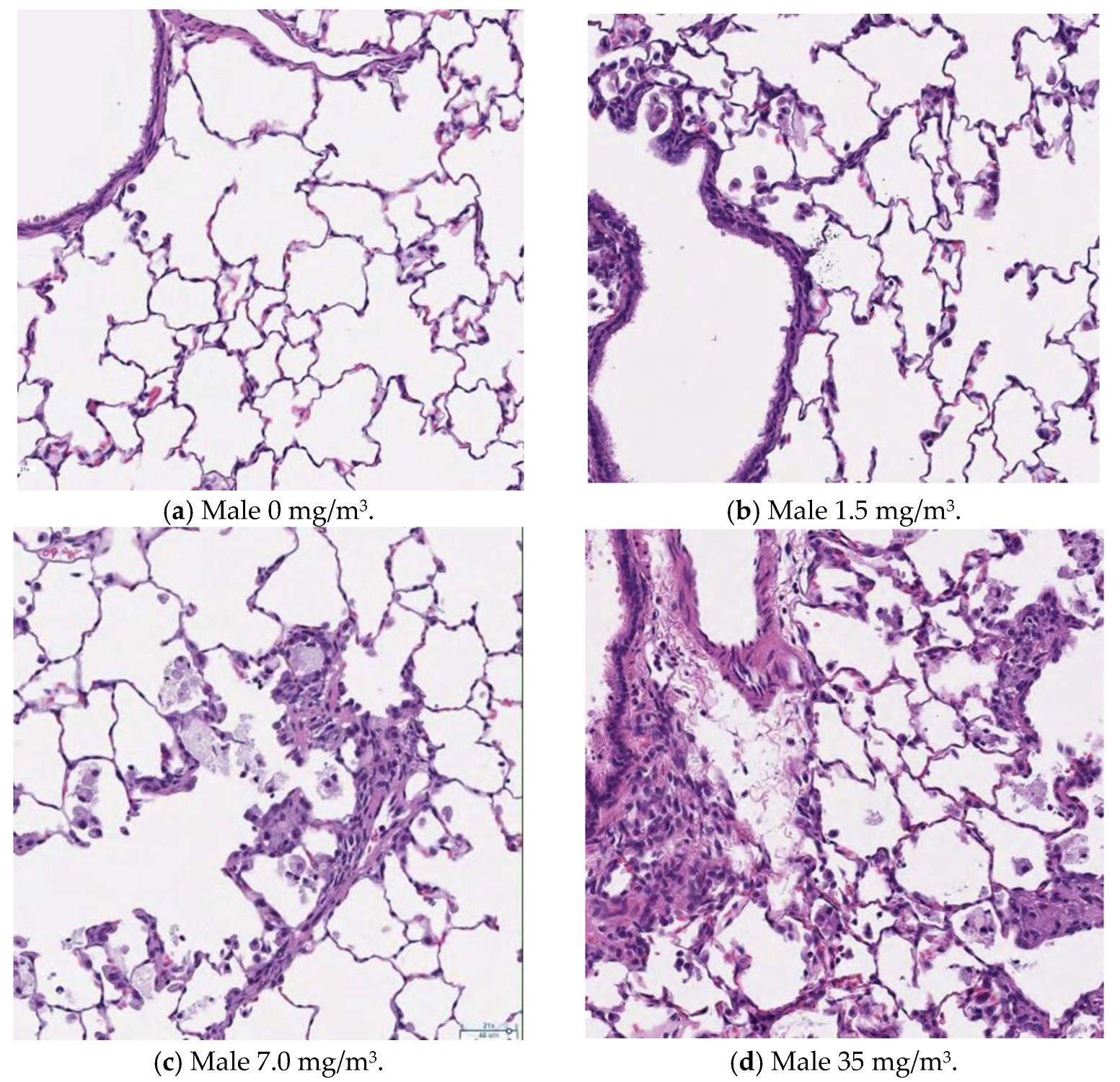 Nanomaterials 15 00214 g009
