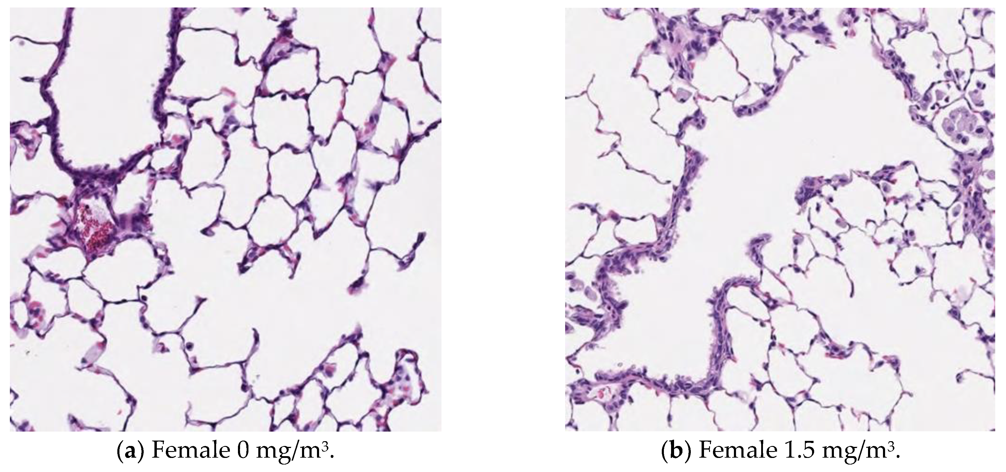 Nanomaterials 15 00214 g010a