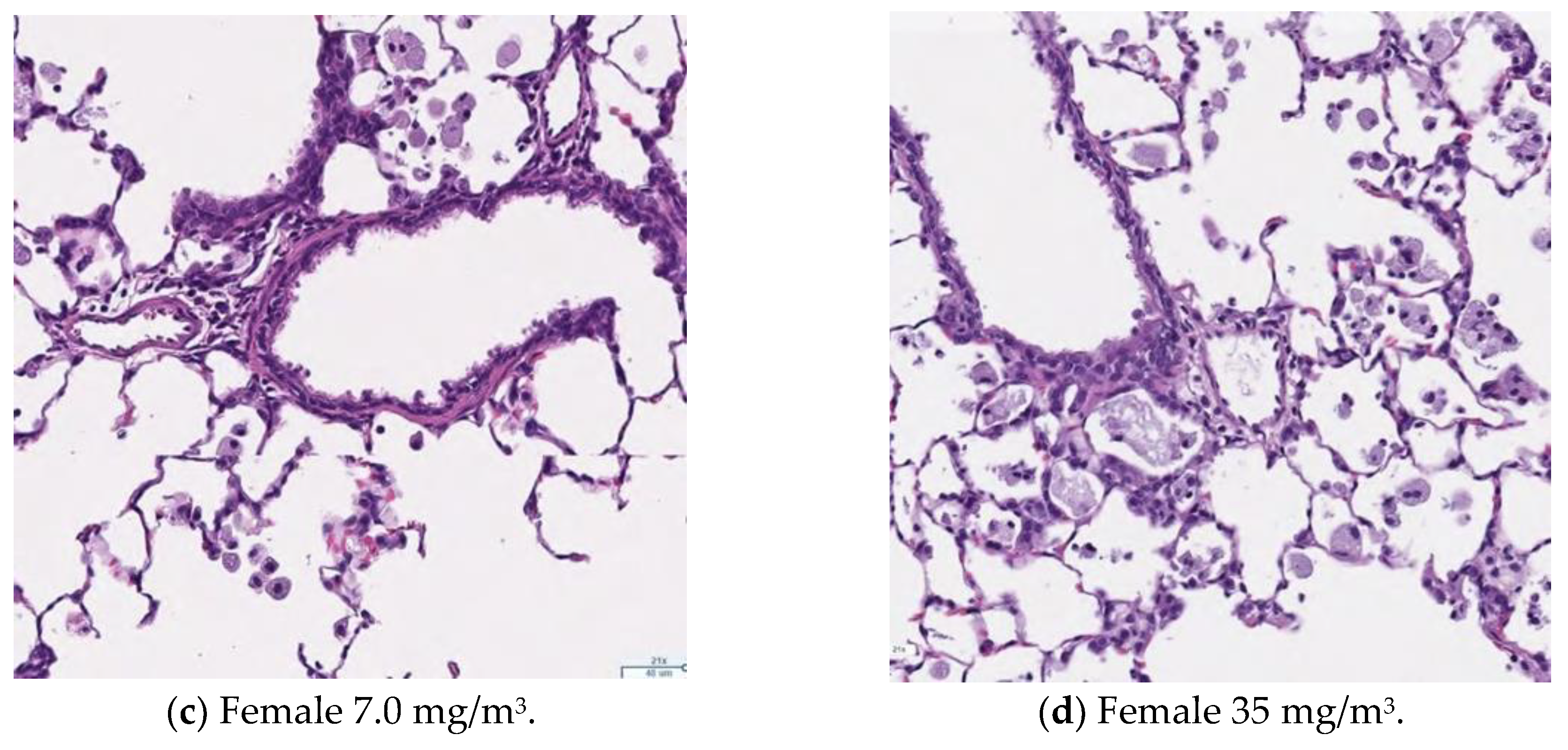 Nanomaterials 15 00214 g010b