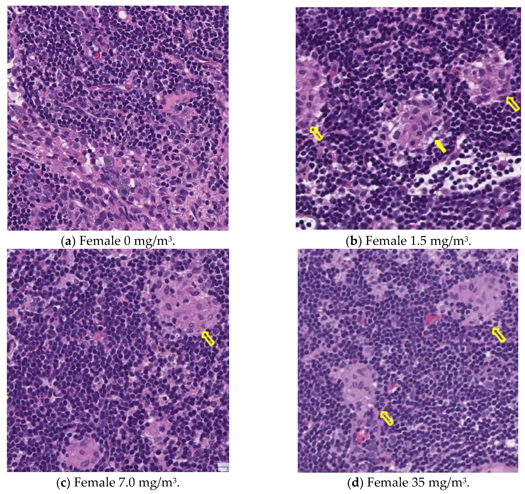 Nanomaterials 15 00214 g012