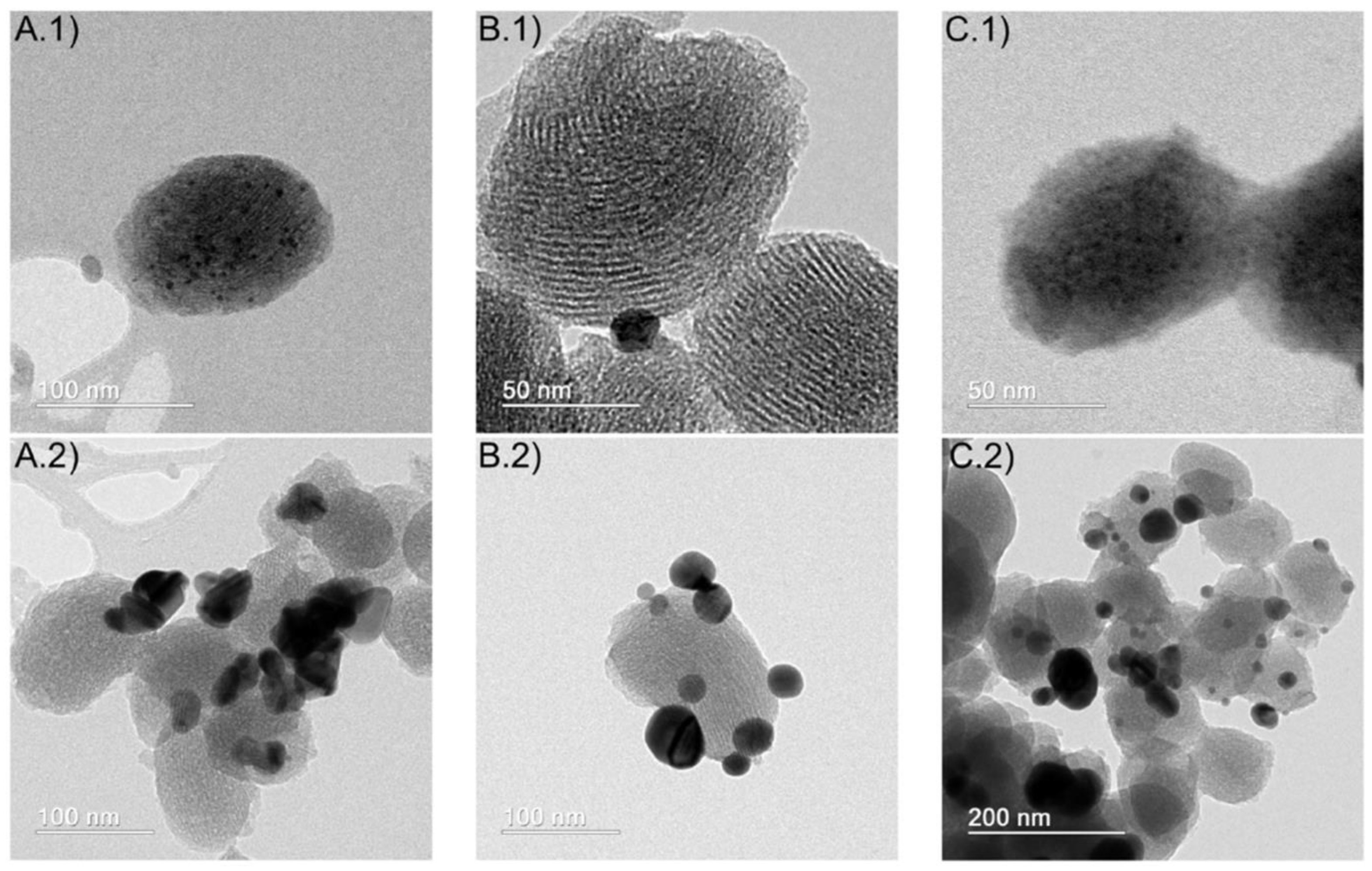 Nanomaterials 15 00218 g007 Nanomaterials 15 00218 g007