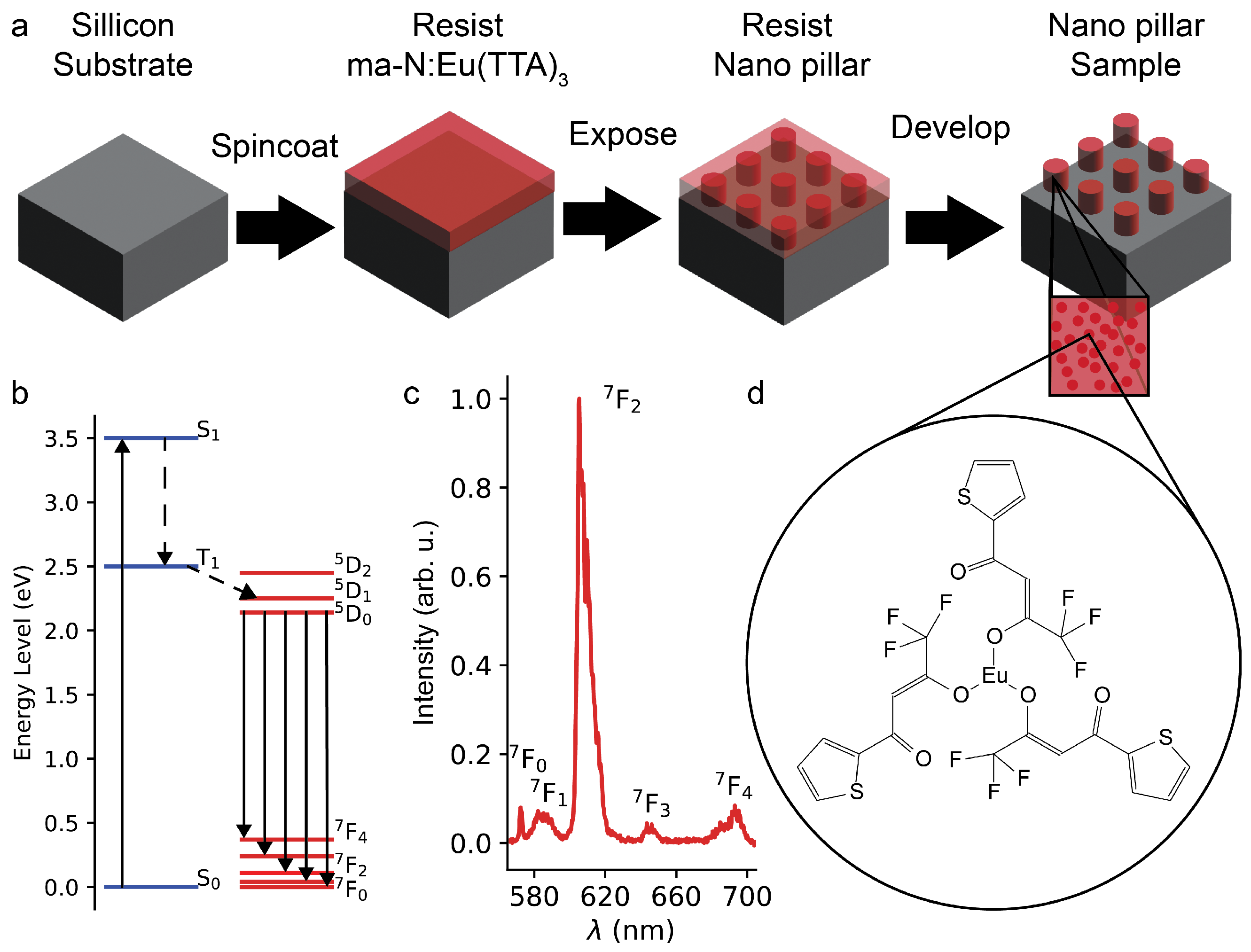 Nanomaterials 15 00219 g001