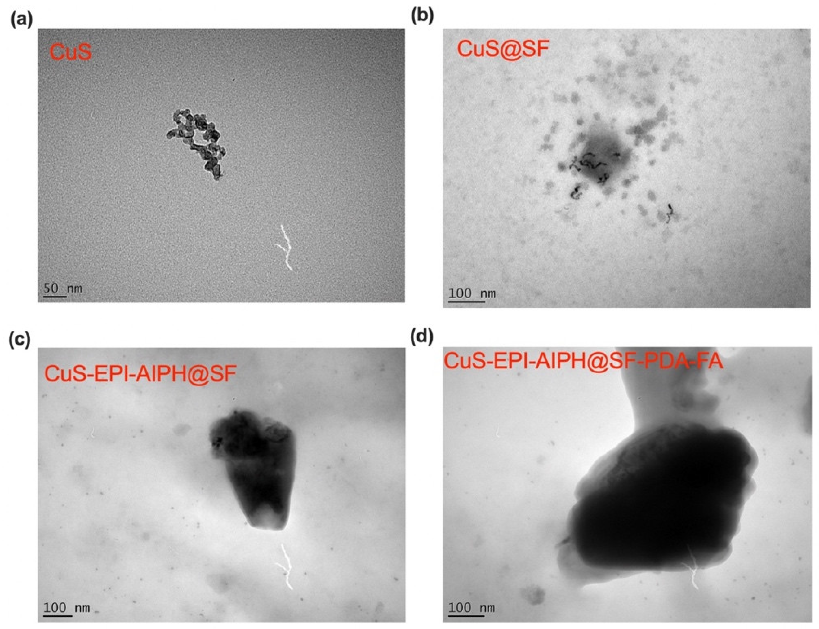 Nanomaterials 15 00221 g005