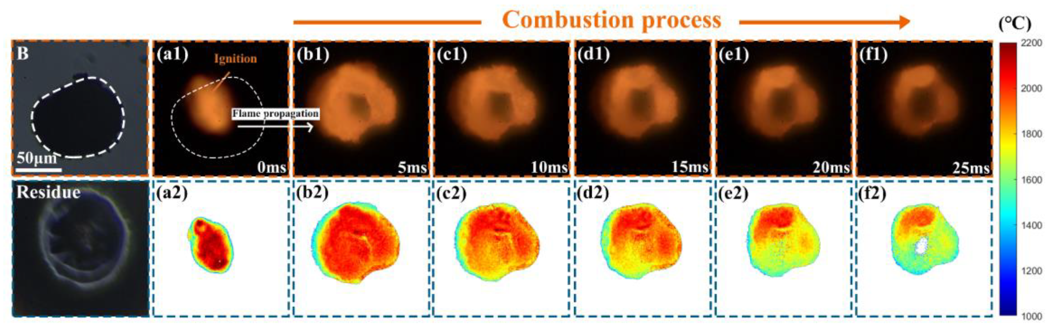 Nanomaterials 15 00223 g012
