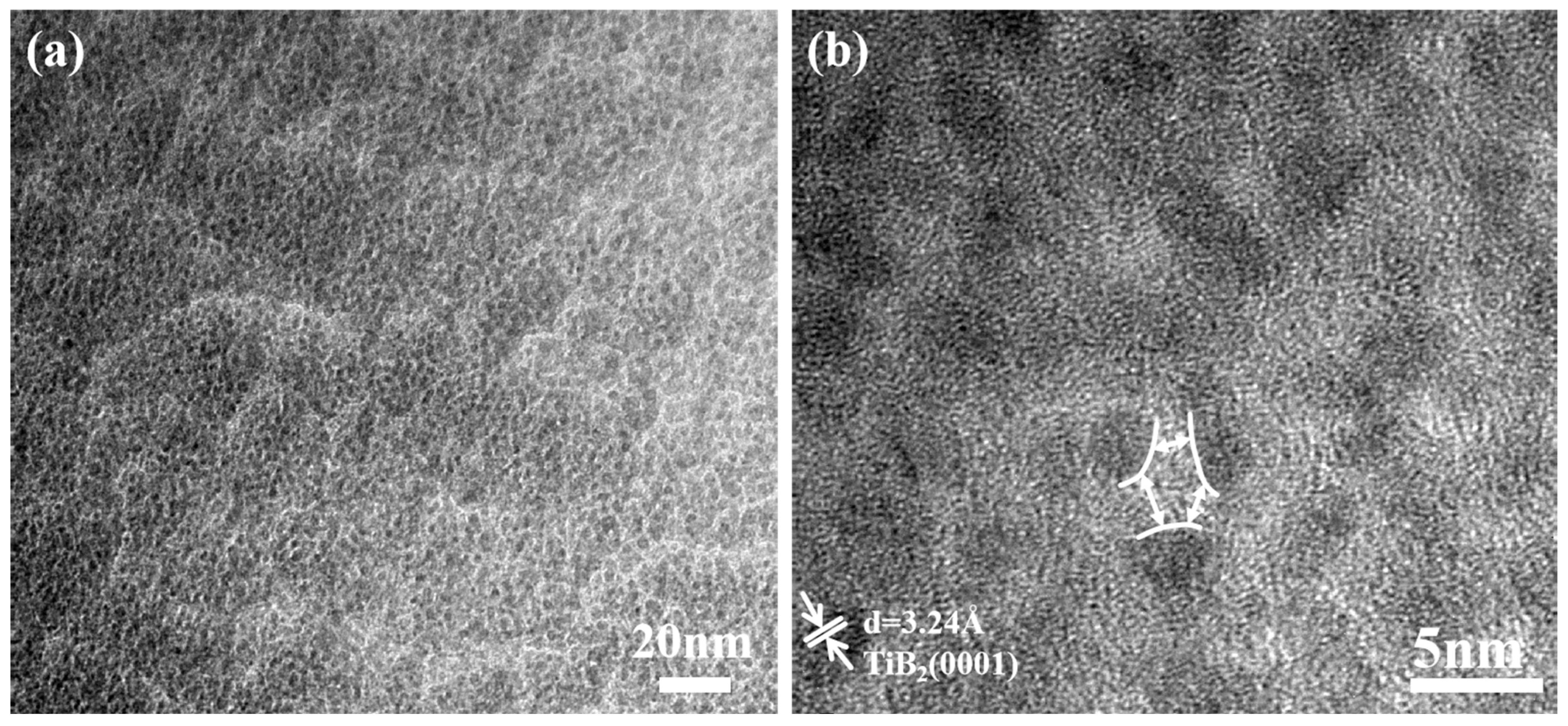 Nanomaterials 15 00229 g008