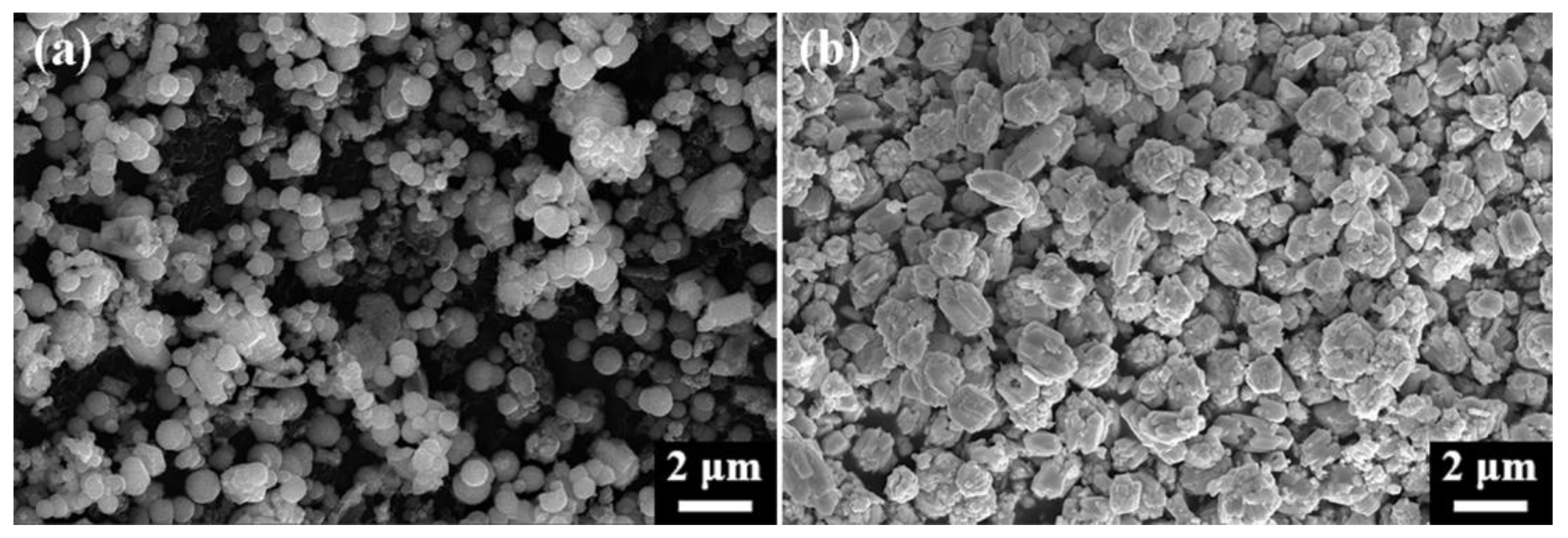Nanomaterials 15 00234 g011