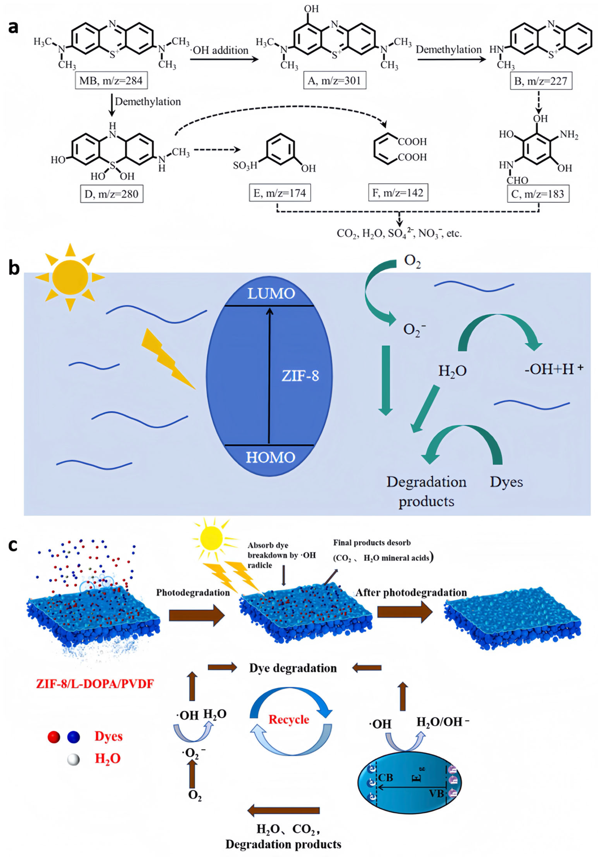 Nanomaterials 15 00239 g006