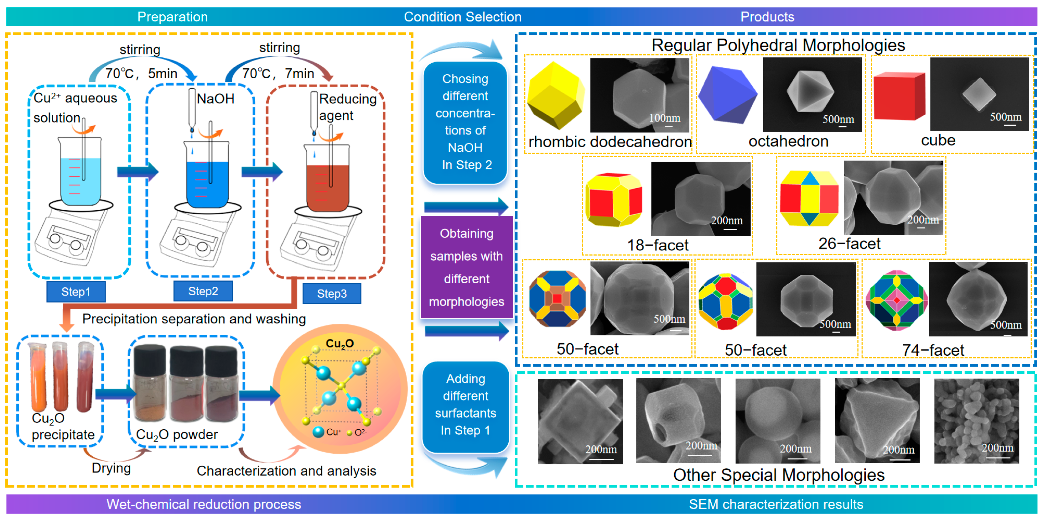 Nanomaterials 15 00240 g001