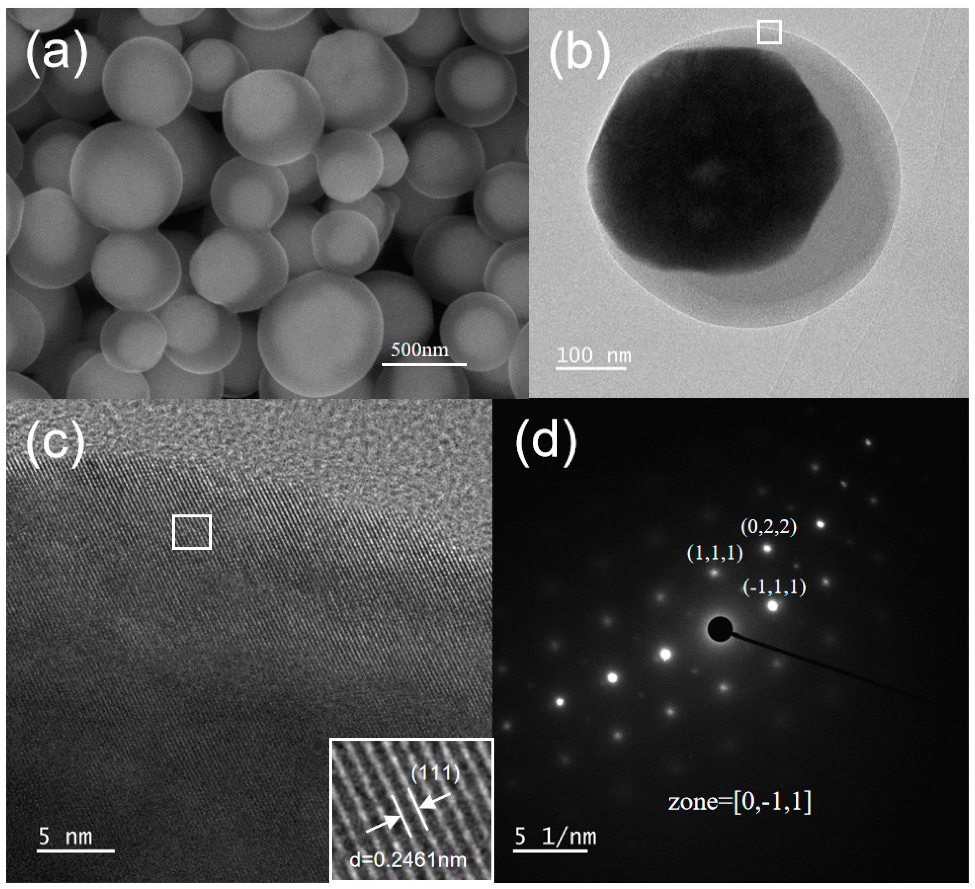 Nanomaterials 15 00240 g008
