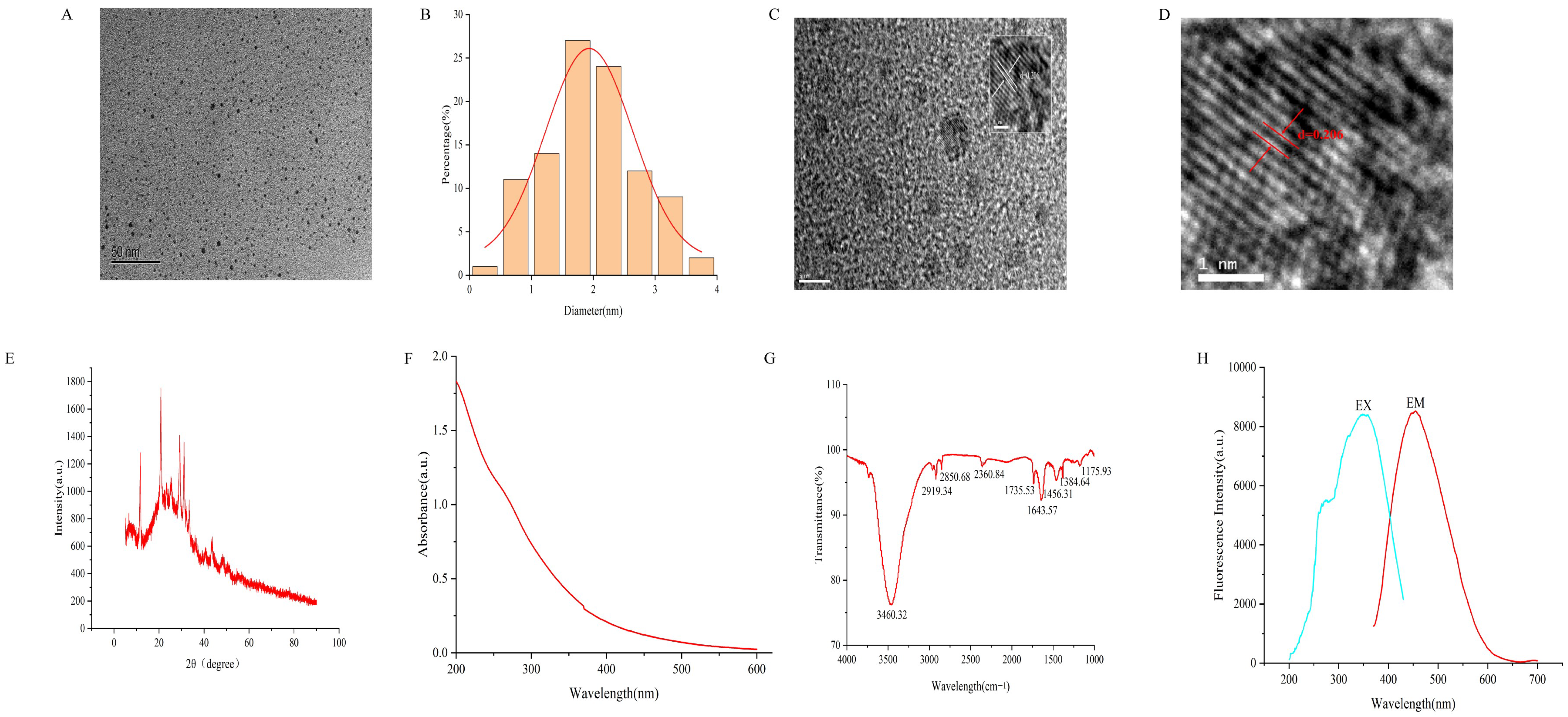 Nanomaterials 15 00242 g001