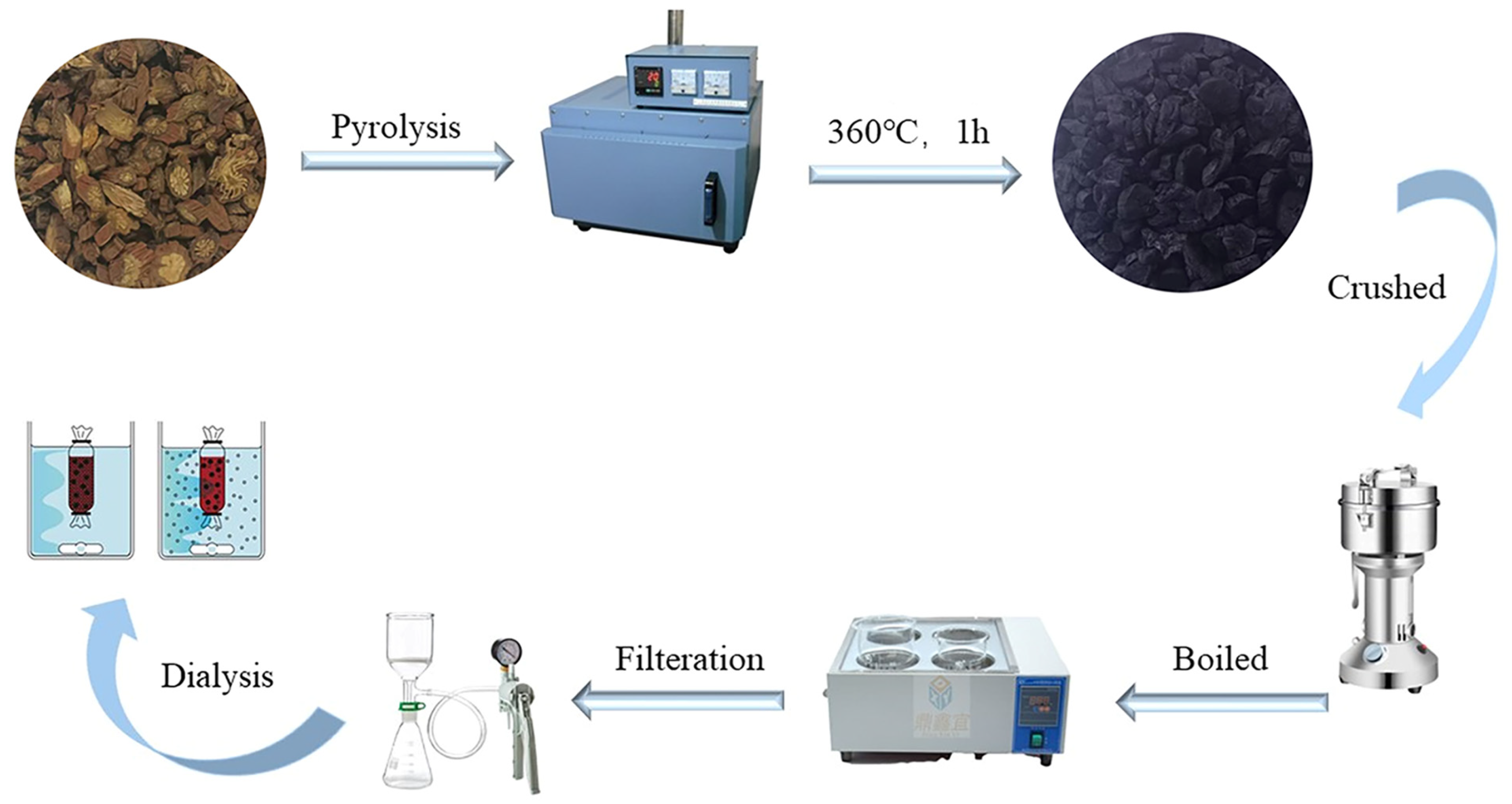Nanomaterials 15 00242 g011